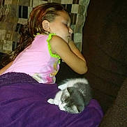 Max joined the competition — help win amazing prizes! child, sleeping, kitten, blanket, couch, indoor, resting, cozy, purple_blanket, patterned_pillow, cute, pet, nap, calm, young, comfort, home, relaxation, animal, together