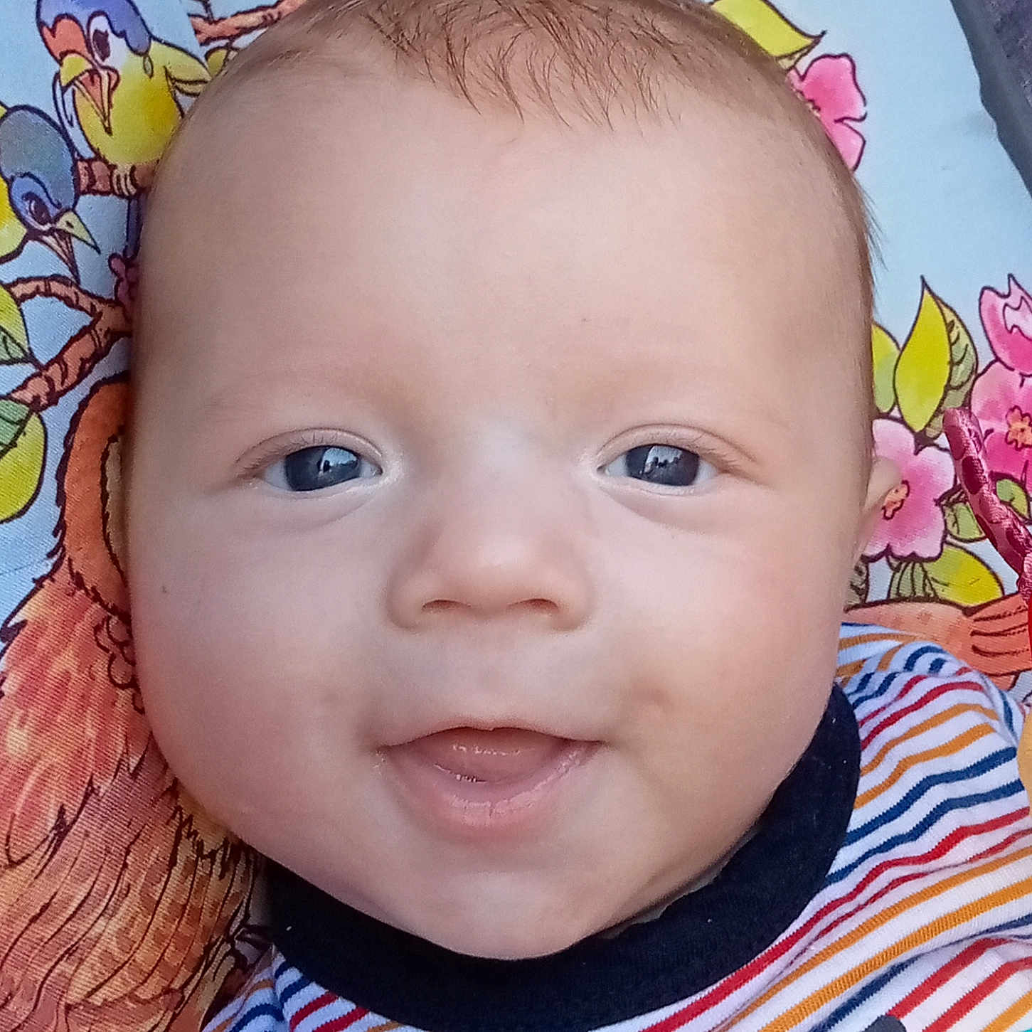 Sohan a rejoint le concours — aidez-le/la à gagner de superbes lots ! baby, infant, face, blue_eyes, smile, striped_shirt, colorful_clothing, blanket, cartoon_birds, flowers, close_up, happy, cute, child, portrait, young, skin, head, person, lying_down