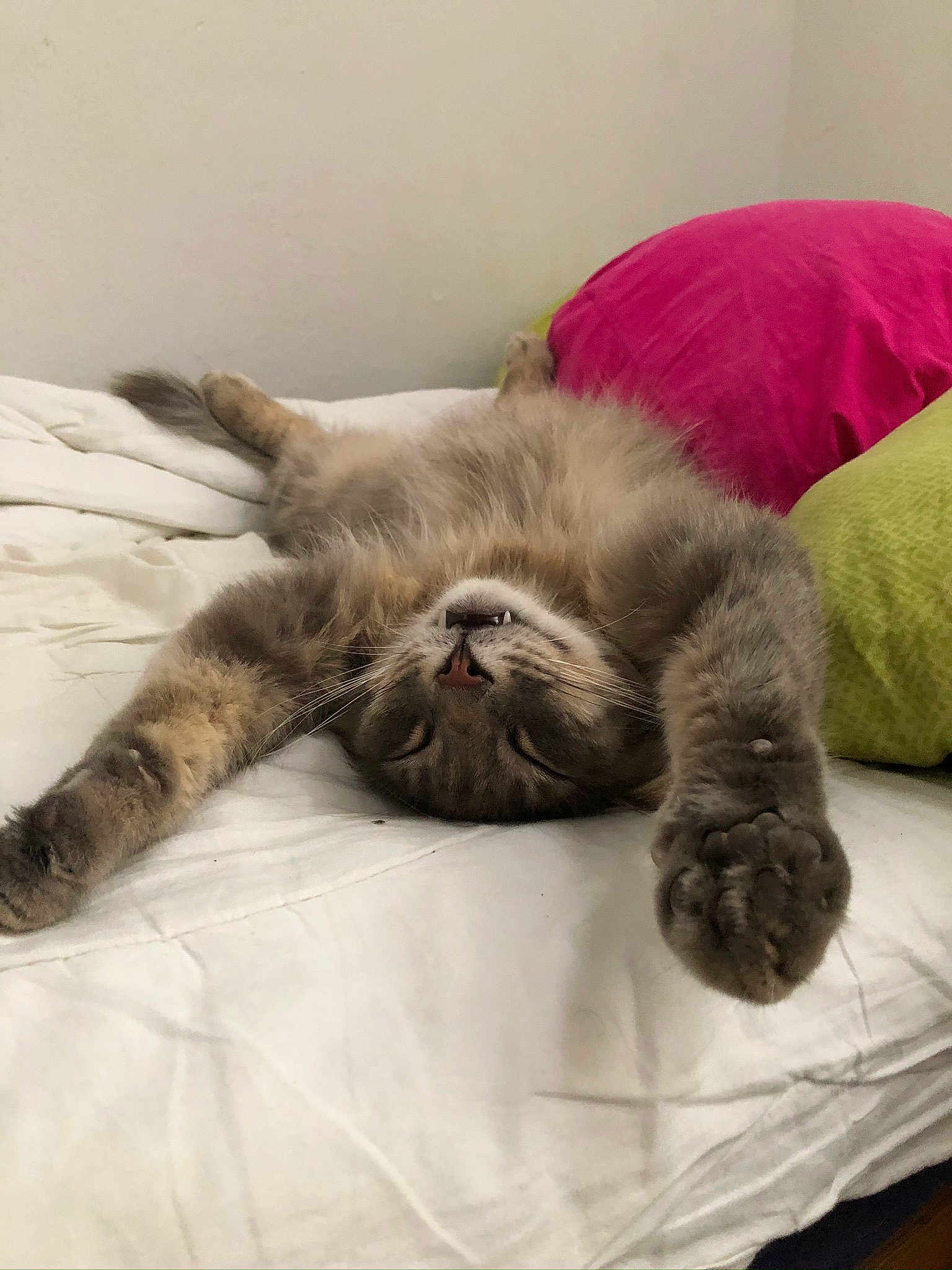 Kiki