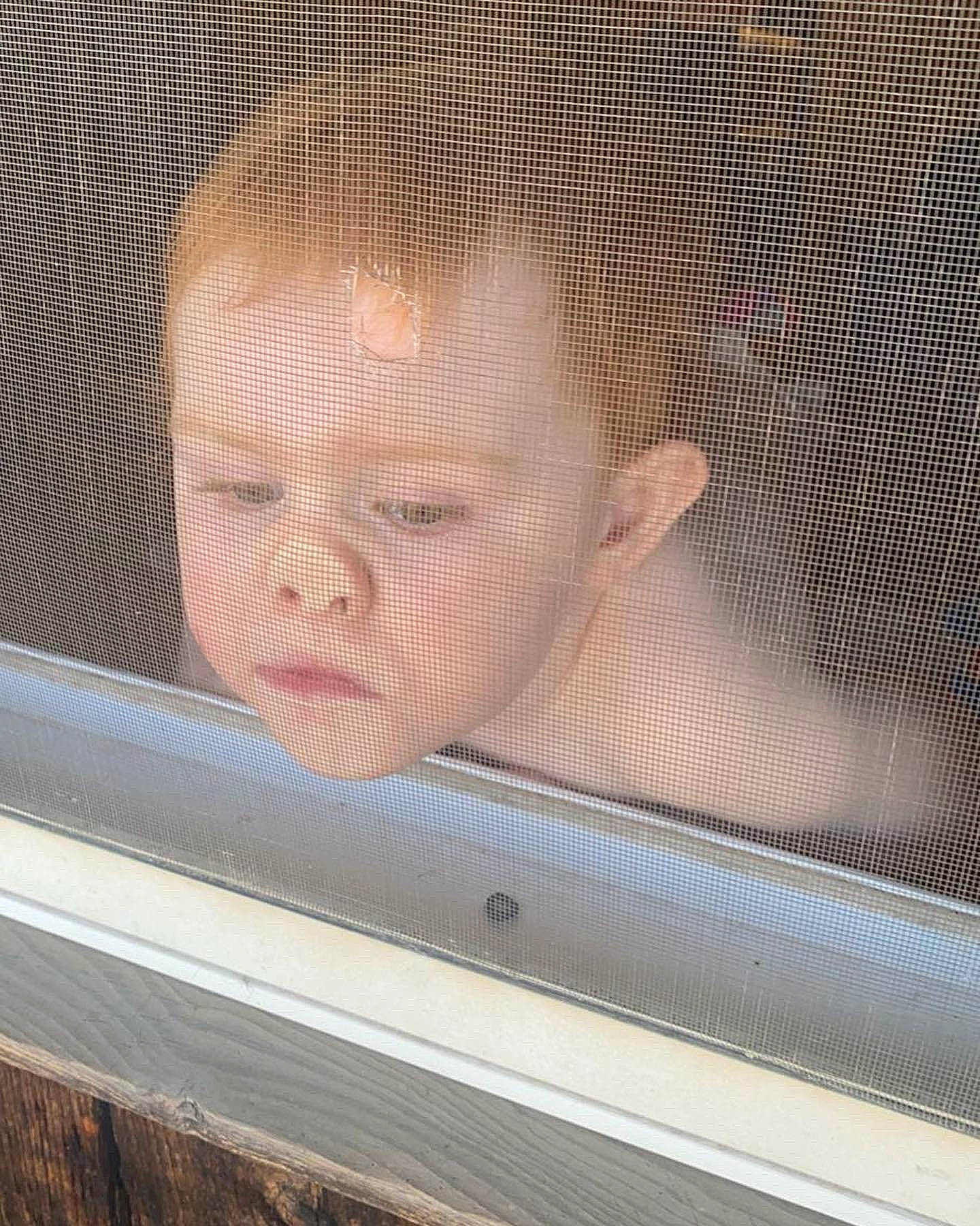 Melanie is registered to the contest to win money with this photo: automotive_exterior, automotive_lighting, baby, comfort, eye, eyebrow, facial_expression, hair, hairstyle, head, mammal, mesh, nose, person, product, smile, toddler, vehicle_door, vertebrate, window