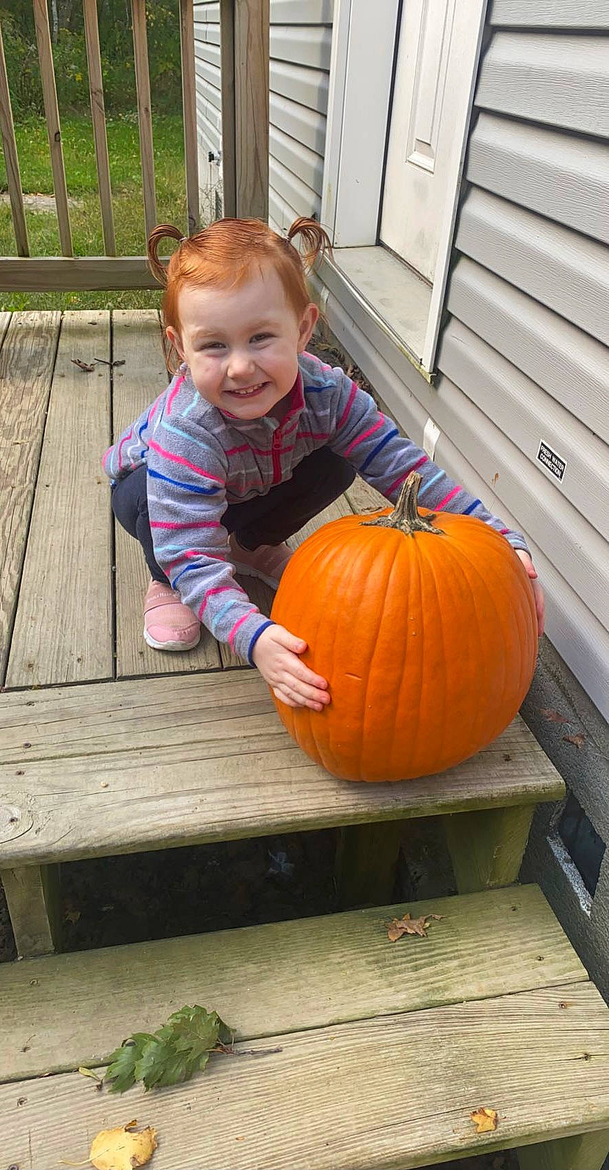 Melanie is registered to the contest to win money with this photo: baby_toddler_clothing, calabaza, child, cucurbita, eye, gourd, grass, happy, joy, local_food, natural_foods, orange, person, plant, pumpkin, smile, squash, toddler, tree, vegetable