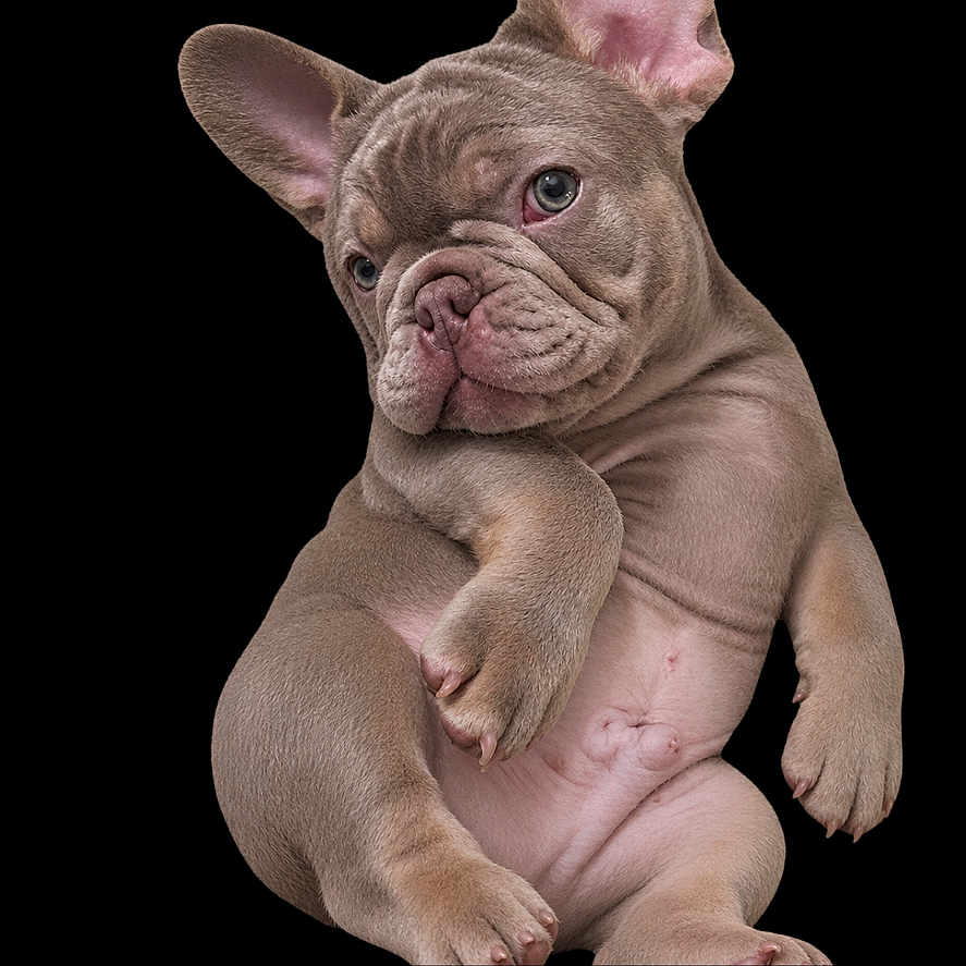 Diesel