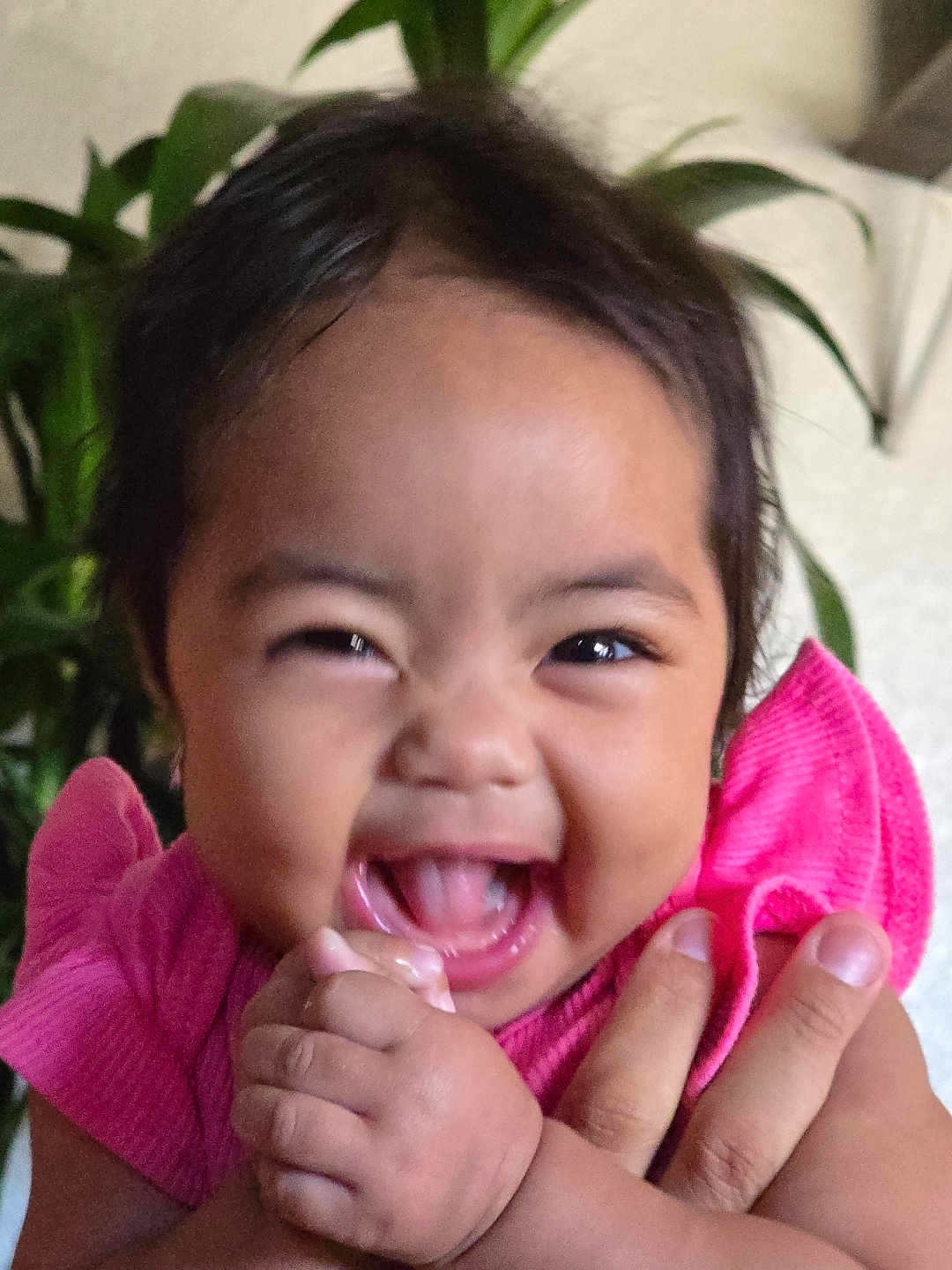 Dreamy joined the competition — help win amazing prizes! baby, child, smiling, happy, pink_clothing, hand, face, holding_hand, indoor, plant, person, cute, joyful, infant, skin, portrait, closeup, expression, support, human