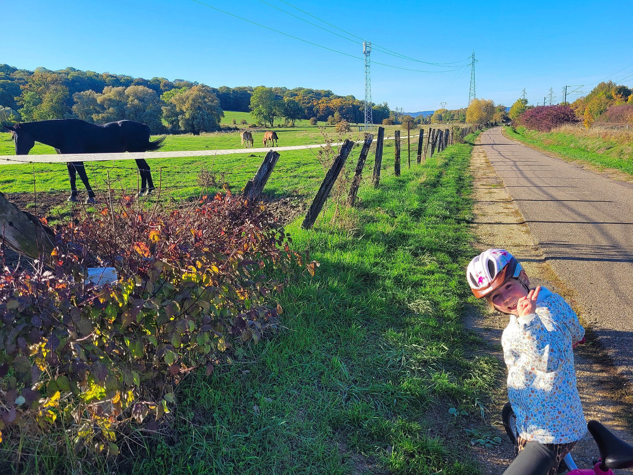 Maelle participe au concours pour gagner de l'argent avec cette photo : agriculture, farmer, field, flower, grass, grass_family, grassland, green, headwear, horizon, joy, landscape, leisure, meadow, natural_landscape, people_in_nature, person, plant, road, rural_area