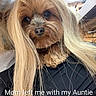 animal_face, black_clothing, blonde_hair, caption, cute, dog, eyes, funny, furniture, indoor, lap, long_hair, mouth, nose, paw, person, pet, small_dog, text_overlay, wood_floor