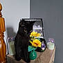 Luna is registered to the contest to win money with this photo: black_cat, cat, sunflowers, green_vase, candle, dresser, photo_frame, urn, bedside_table, bedpost, indoor, pet, curious, sitting, yellow_flowers, wood_texture, black_fur, golden_eyes, decor, small_table