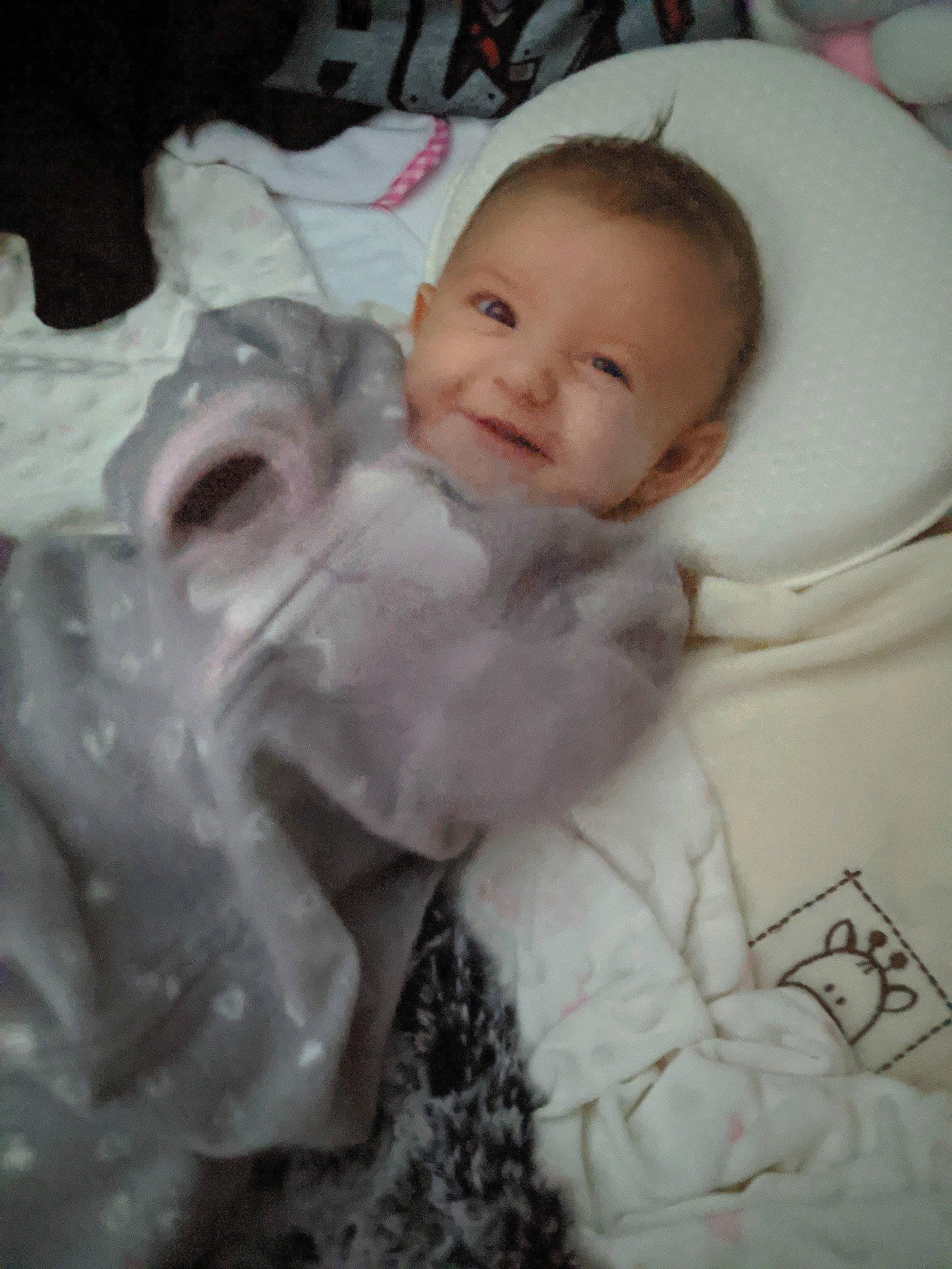 Letty is registered to the contest to win money with this photo: baby, cheek, child, eye, forehead, head, nose, person, pink, skin, smile, toddler