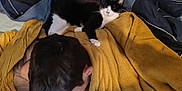 Charlie participe au concours pour gagner de l'argent avec cette photo : bed, black_and_white_cat, blanket, blue_bedding, casual, cat, comfort, cozy, glasses, hair, indoor, notebook, person, phone, relaxation, resting, sleepy_cat, study, writing, yellow_blanket