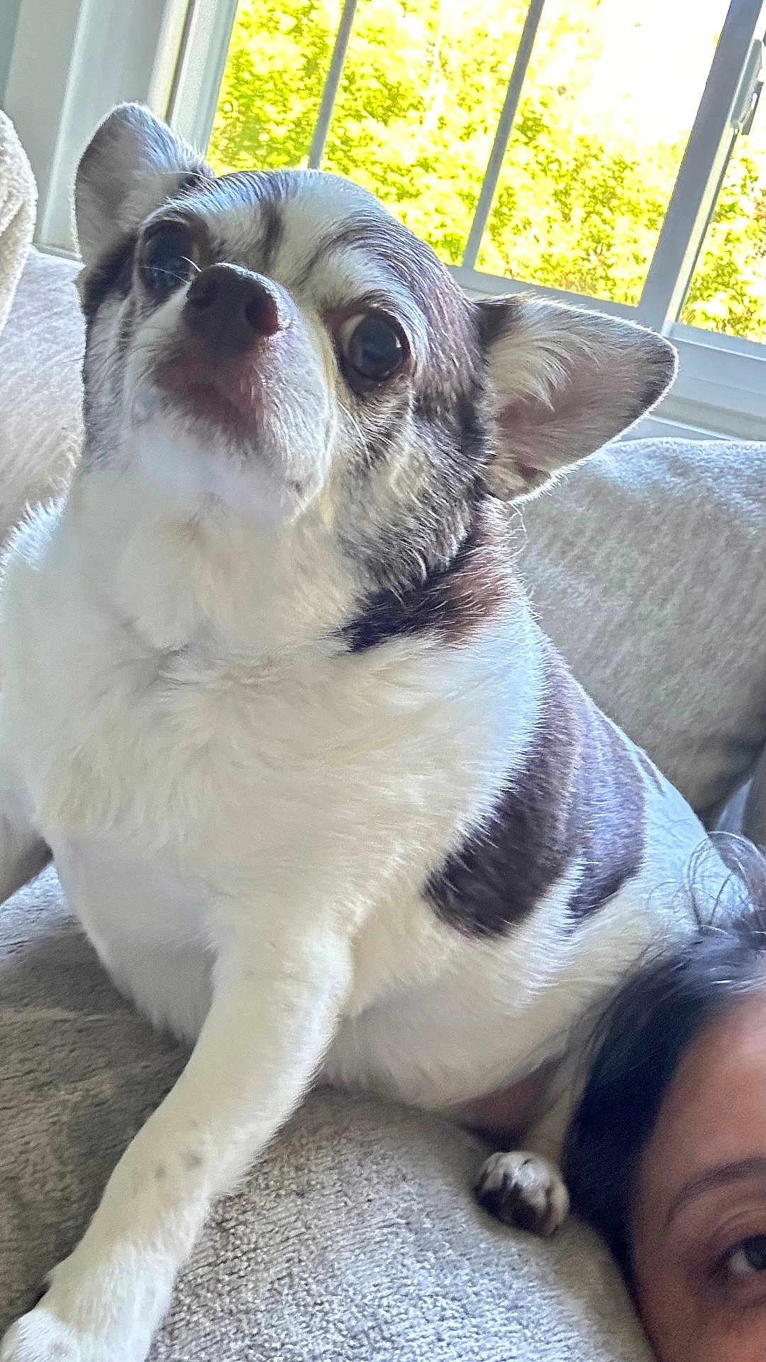 Einstein