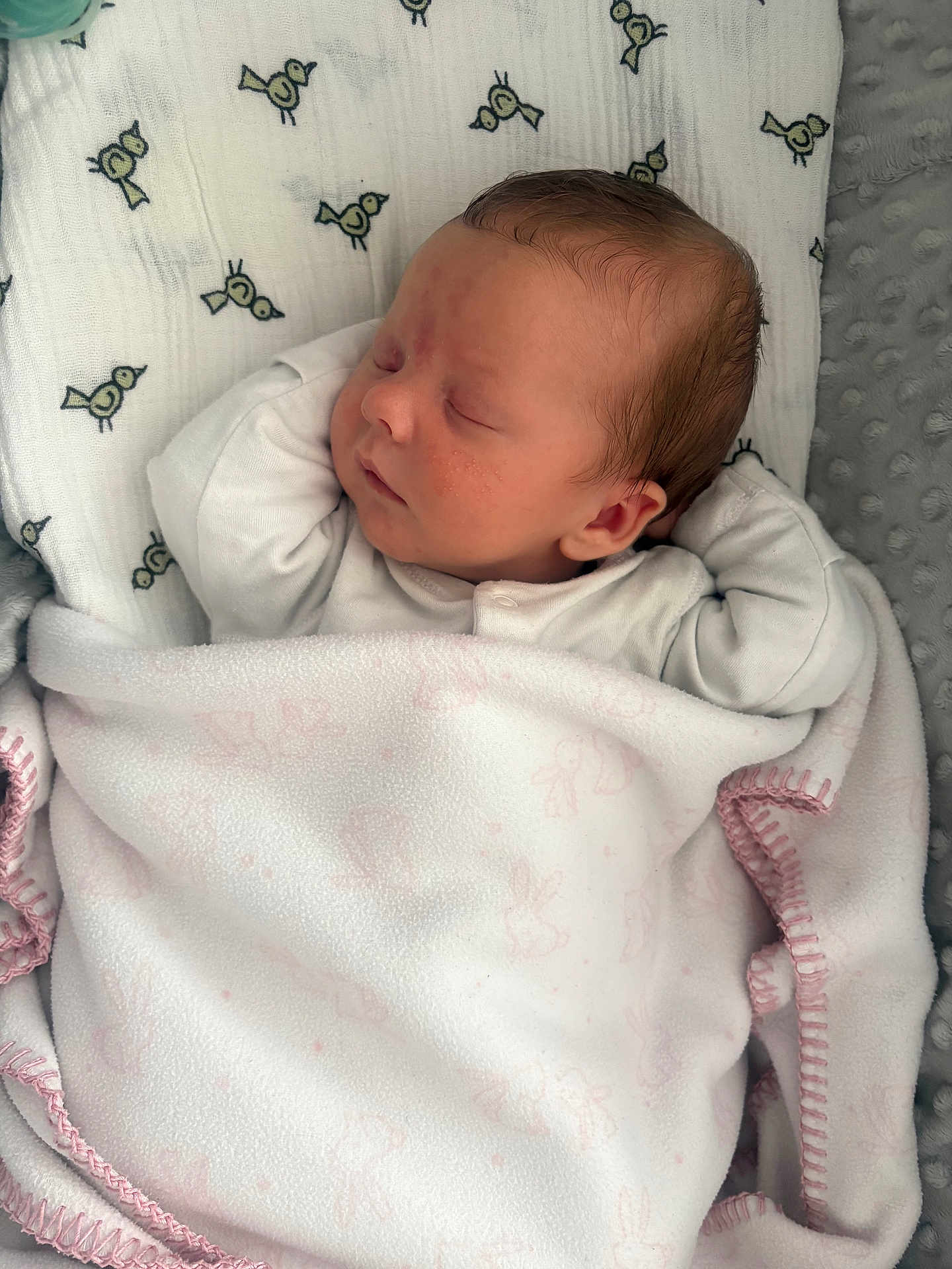 Alexander is registered to the contest to win money with this photo: baby, sleeping, blanket, white_clothing, patterned_sheet, bird_pattern, infant, face, peaceful, soft_texture, pink_trim, newborn, resting, cute, child, cozy, wrapped, bed, indoors, human