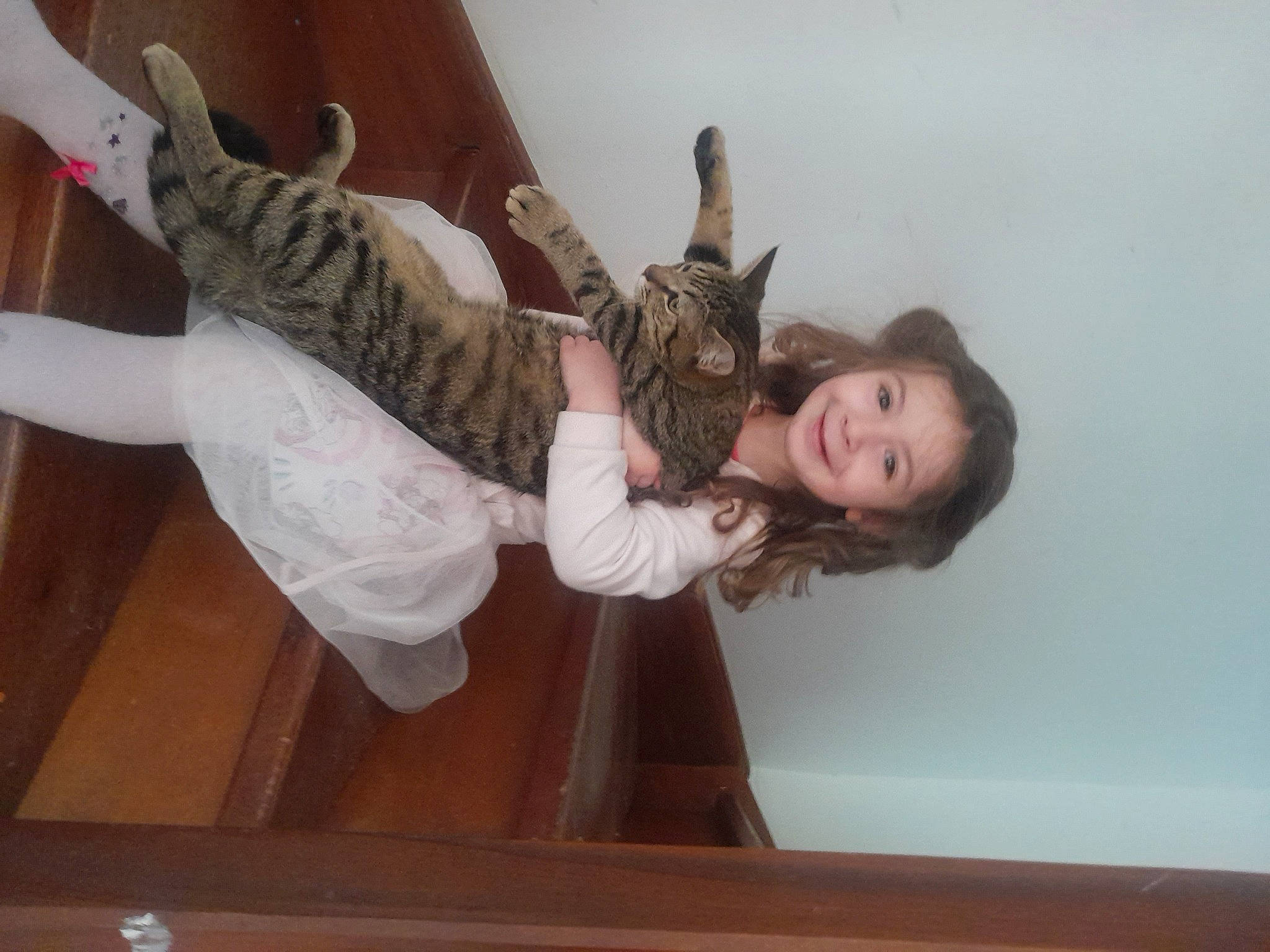 Aliah participe au concours pour gagner de l'argent avec cette photo : comfort, elbow, fawn, felidae, fun, gesture, happy, head, human_body, human_leg, joy, knee, long_hair, person, shoulder, small_to_medium_sized_cats, thigh, trunk, waist, window