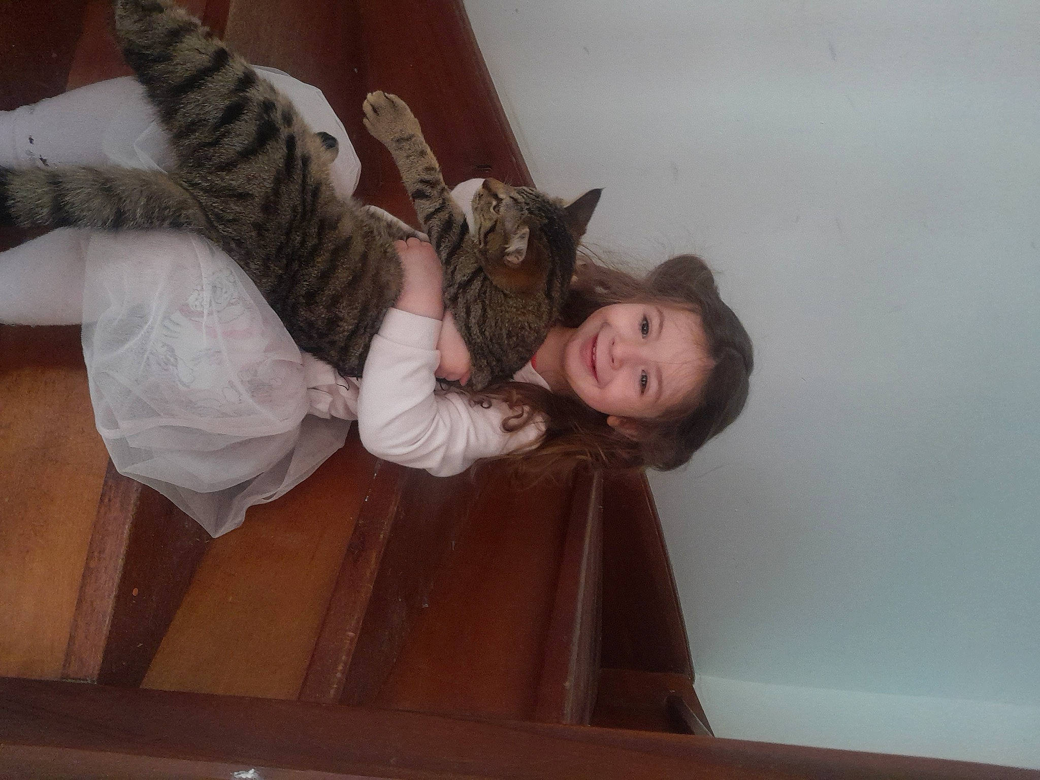 Aliah participe au concours pour gagner de l'argent avec cette photo : cat, comfort, companion_dog, fawn, felidae, flooring, fun, fur, gesture, happy, hardwood, human_leg, joy, long_hair, person, room, sitting, small_to_medium_sized_cats, smile, thigh