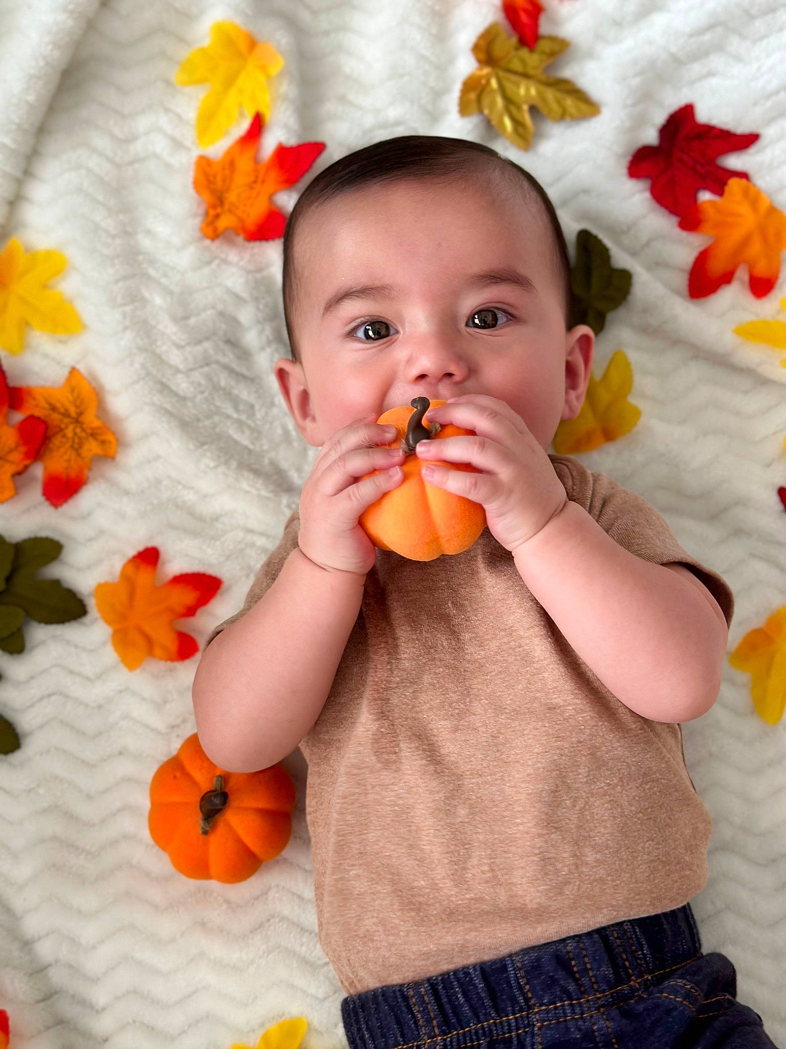 Marcelo is registered to the contest to win money with this photo: arm, baby, baby_toddler_clothing, face, finger, fruit, hand, happy, head, lip, mouth, nail, nose, orange, person, petal, plant, red, skin, toddler