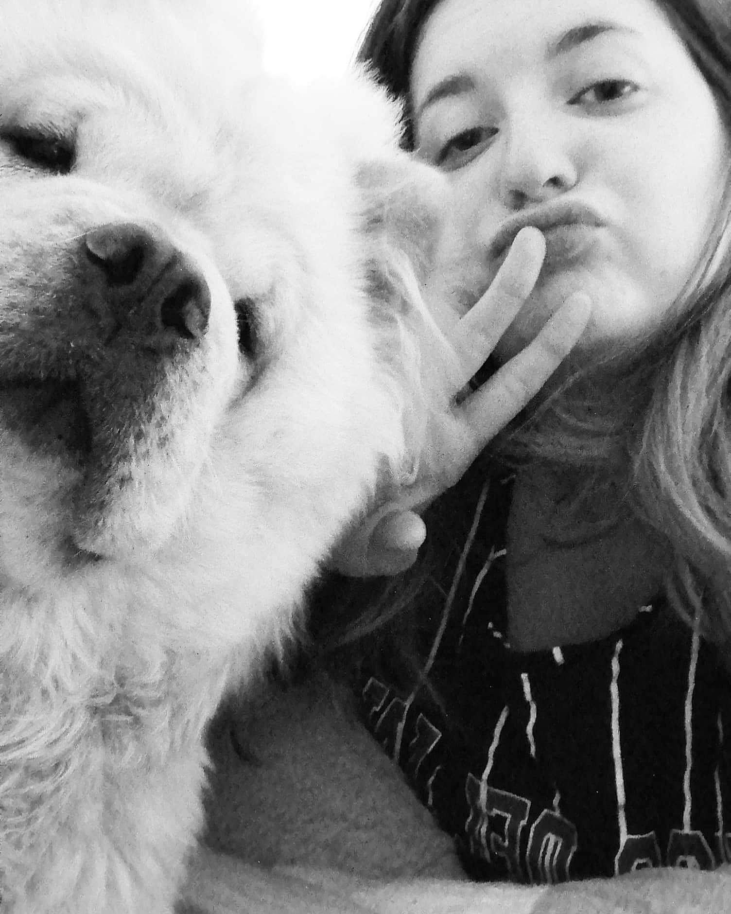 Seika participe au concours pour gagner de l'argent avec cette photo : black, black_and_white, carnivore, dog, dog_breed, ear, eyelash, face, fawn, gesture, happy, head, jaw, nose, organ, photograph, skin, style, whiskers, white