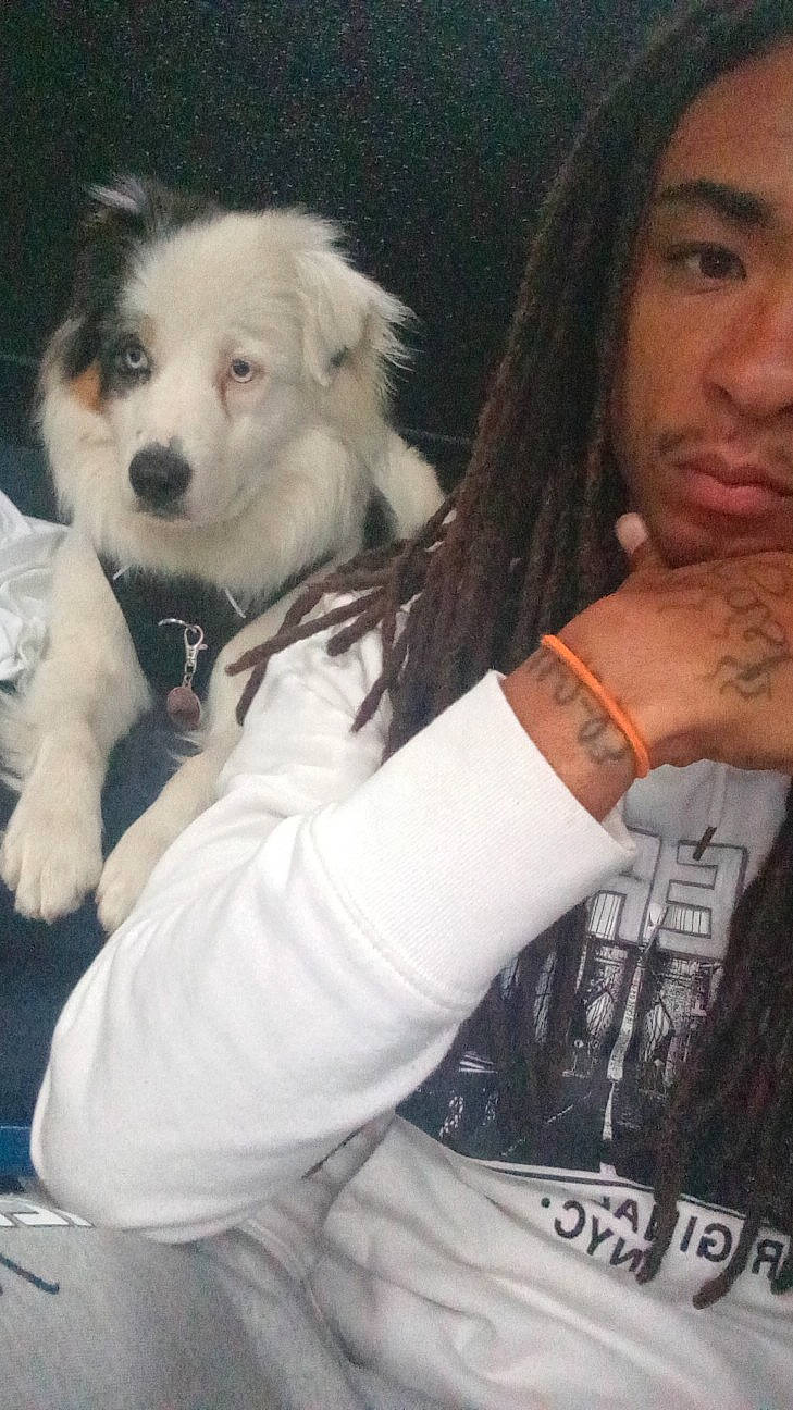 Faith joined the competition — help win amazing prizes! beard, bracelet, canidae, carnivore, chair, chest, companion_dog, dog, dog_breed, flesh, fur, gesture, happy, jewellery, necklace, puppy_love, sitting, sporting_group, toy, toy_dog