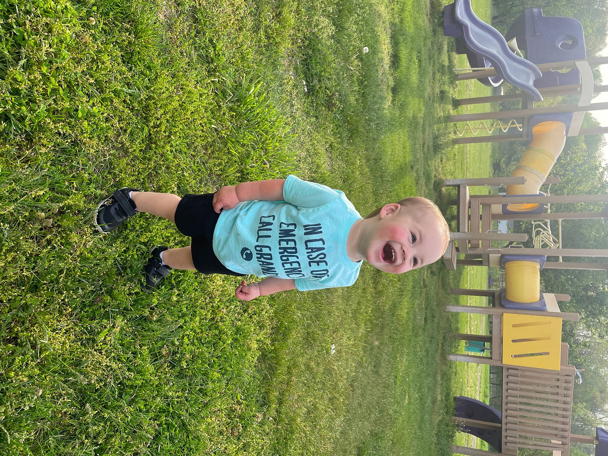 Bentley Lane is registered to the contest to win money with this photo: baby, child, fun, garden, grass, grassland, groundcover, happy, hat, lawn, leisure, people_in_nature, person, plant, recreation, shrub, smile, t_shirt, toddler, tree
