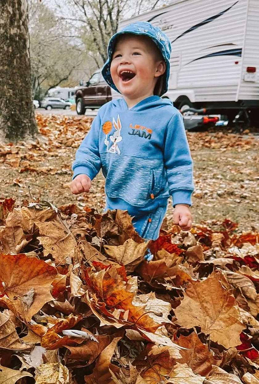 Bentley Lane is registered to the contest to win money with this photo: beauty, calabaza, car, deciduous, eye, face, grass, happy, leaf, orange, people_in_nature, person, plant, pumpkin, smile, soil, spring, toddler, tree, wood