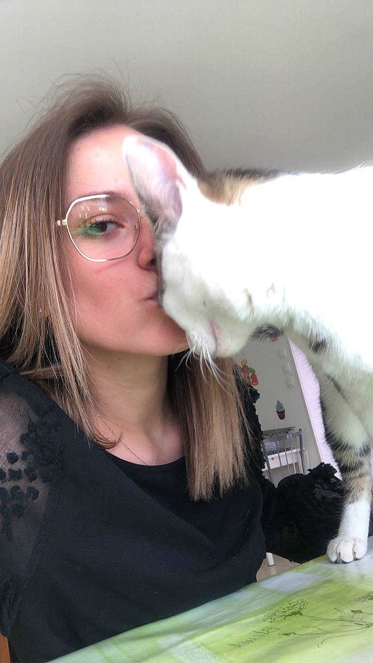 Chacha participe au concours pour gagner de l'argent avec cette photo : companion_dog, ear, eyewear, fur, glasses, hair, long_hair, mouth, nose, vision_care