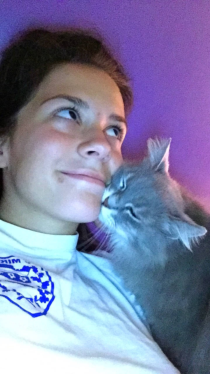 Mimi a rejoint le concours — aidez-le/la à gagner de superbes lots ! carnivore, cat, domestic_short_haired_cat, felidae, nebelung, norwegian_forest_cat, pixie_bob, siberian, small_to_medium_sized_cats, whiskers