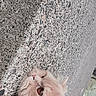 Simba is registered to the contest to win money with this photo: animal, cat, close_up, concrete, curious, ear, fluffy, fur, ground, light_colored, natural_light, nose, outdoor, paw, pet, relaxed, resting, side_view, texture, whiskers