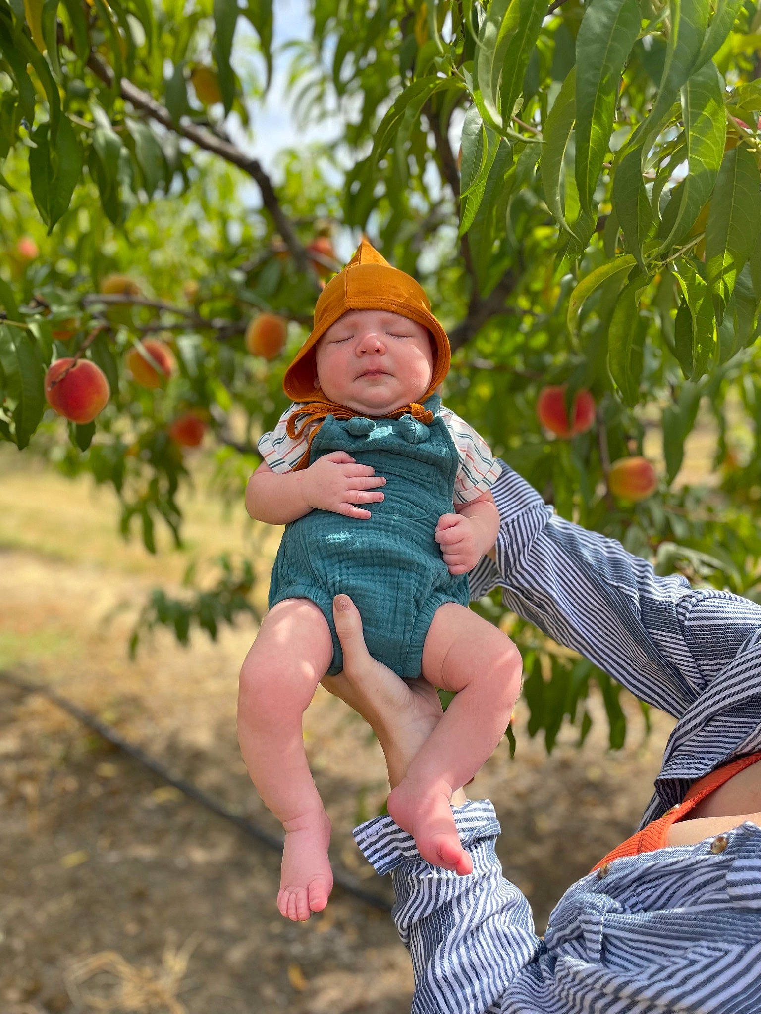 Everett is registered to the contest to win money with this photo: arm, baby, foot, fruit, fun, grass, hand, happy, hat, headwear, leaf, leg, leisure, people_in_nature, person, plant, recreation, shorts, sitting, summer
