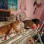 cat, bed, blanket, person, sleeping, pillow, dreamcatcher, poster, room, furniture, orange_cat, hello_kitty, relaxing, indoor, stuffed_toy, furry, resting, child, casual, sleepwear