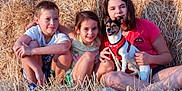 Oscar a rejoint le concours — aidez-le/la à gagner de superbes lots ! animal, casual_clothing, children, dog, family, field, friendship, fun, grass, happy, hay, nature, outdoor, pet, playful, relaxing, sitting, smiling, summer, sunlight