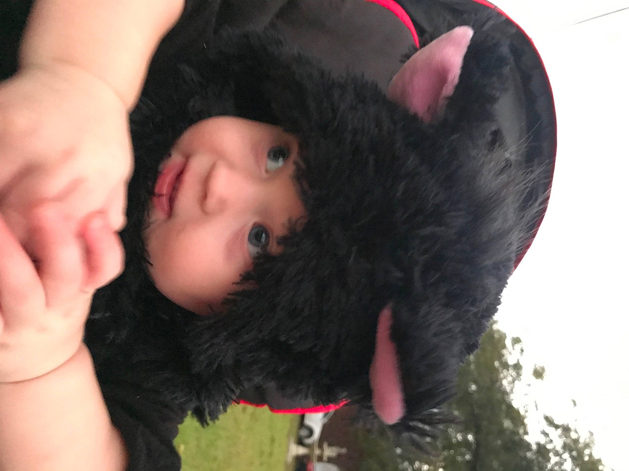 Mallory joined the competition — help win amazing prizes! baby, black_hair, cap, ear, eyelash, finger, fun, gesture, grass, hairstyle, happy, headwear, jaw, lip, mouth, neck, nose, person, skin, thumb
