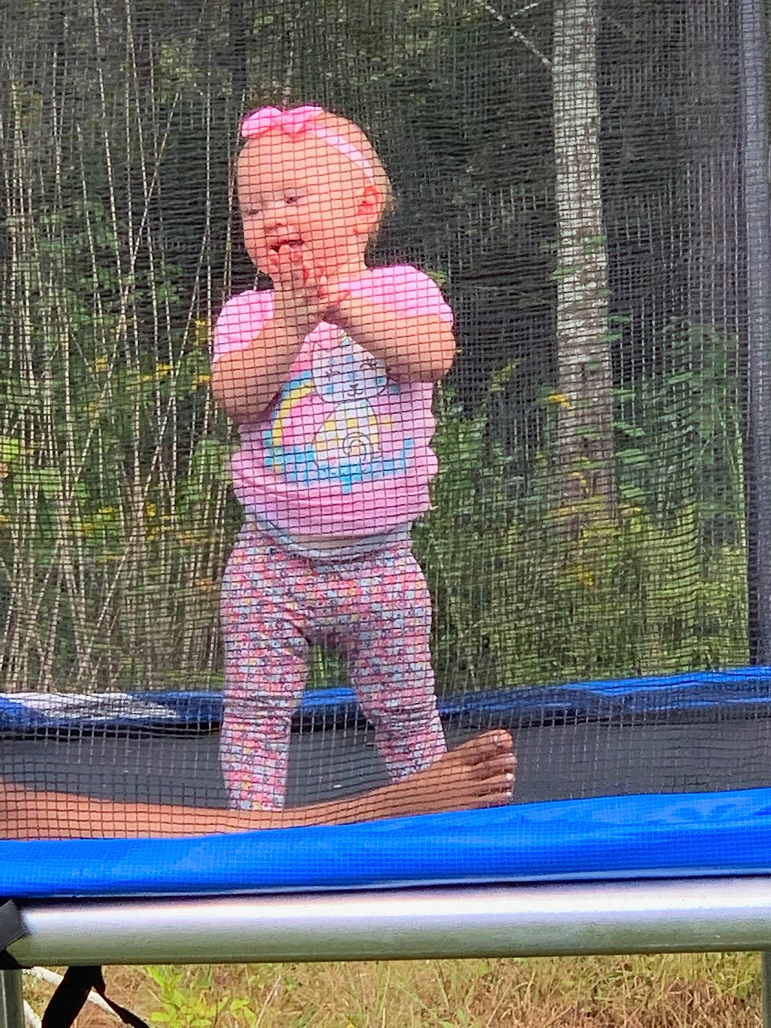 Mallory is registered to the contest to win money with this photo: child, electric_blue, entertainment, fun, grass, leisure, magenta, mesh, net, outdoor_play_equipment, pattern, person, play, recreation, sitting, stuffed_toy, textile, toddler, toy, trampolining