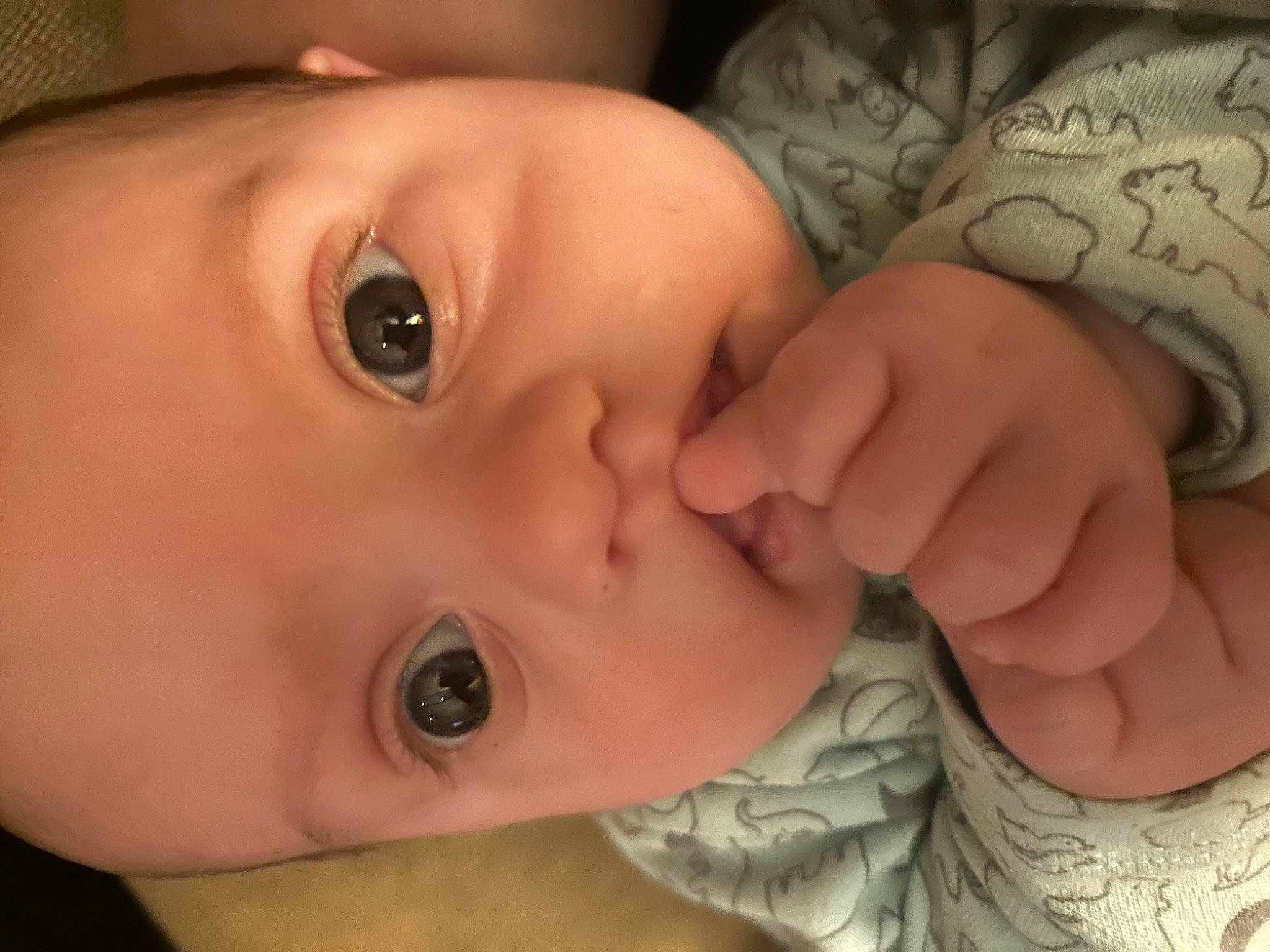 Legend Dennis joined the competition — help win amazing prizes! baby, cheek, chin, ear, eyebrow, eyelash, facial_expression, forehead, gesture, hair, iris, lip, mammal, mouth, neck, nose, organ, person, skin, sleeve