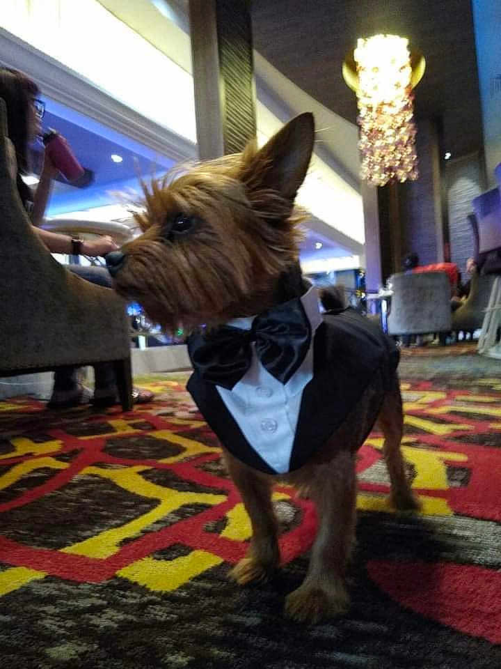 Wookie Mcclarren