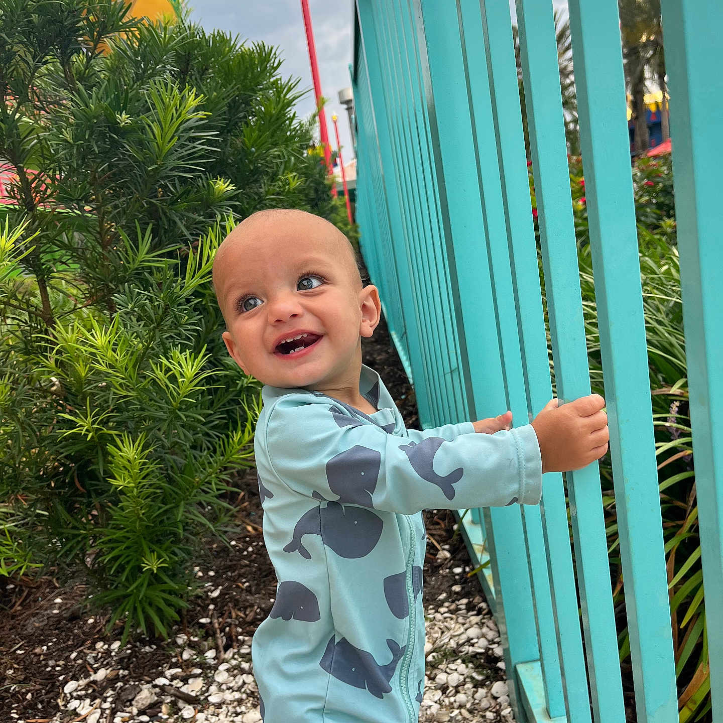 Paxton