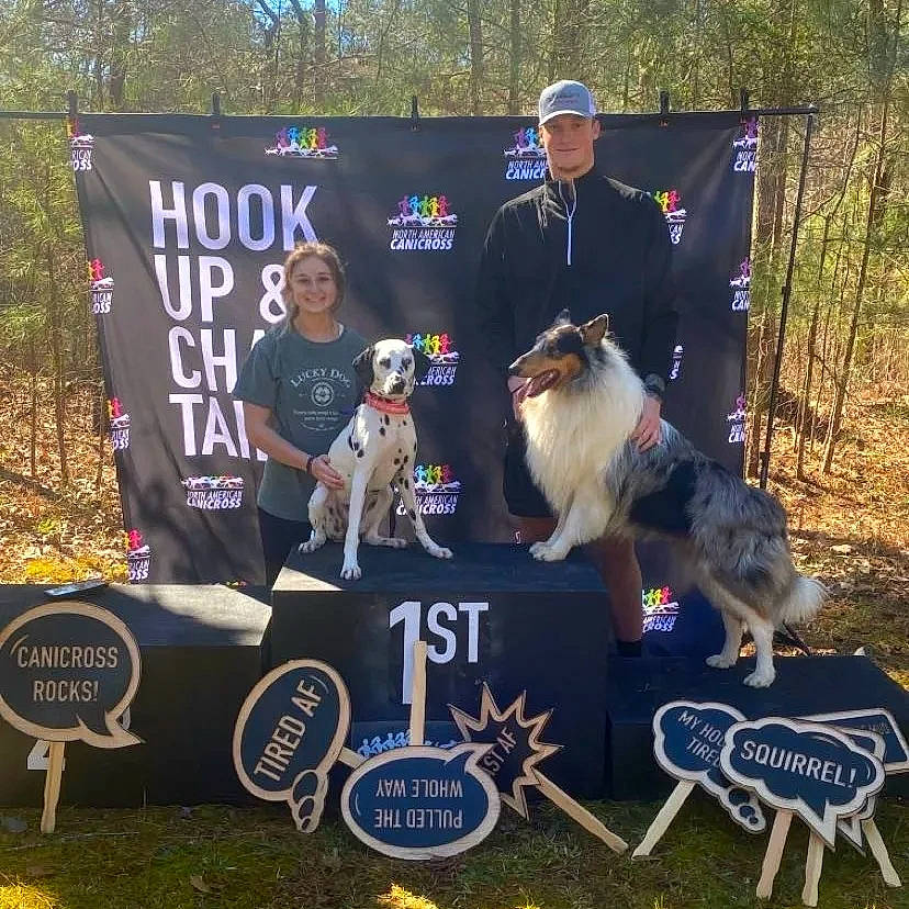 Princeton Stone Aka Prince joined the competition — help win amazing prizes! ancient_dog_breeds, animal_sports, canidae, carnivore, collie, companion_dog, dog, dog_breed, dog_sports, fawn, grass, guard_dog, herding_dog, logo, plant, recreation, sporting_group, toy_dog, tree, working_dog