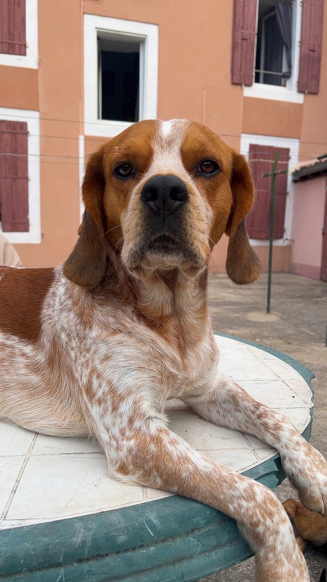 Tyson
