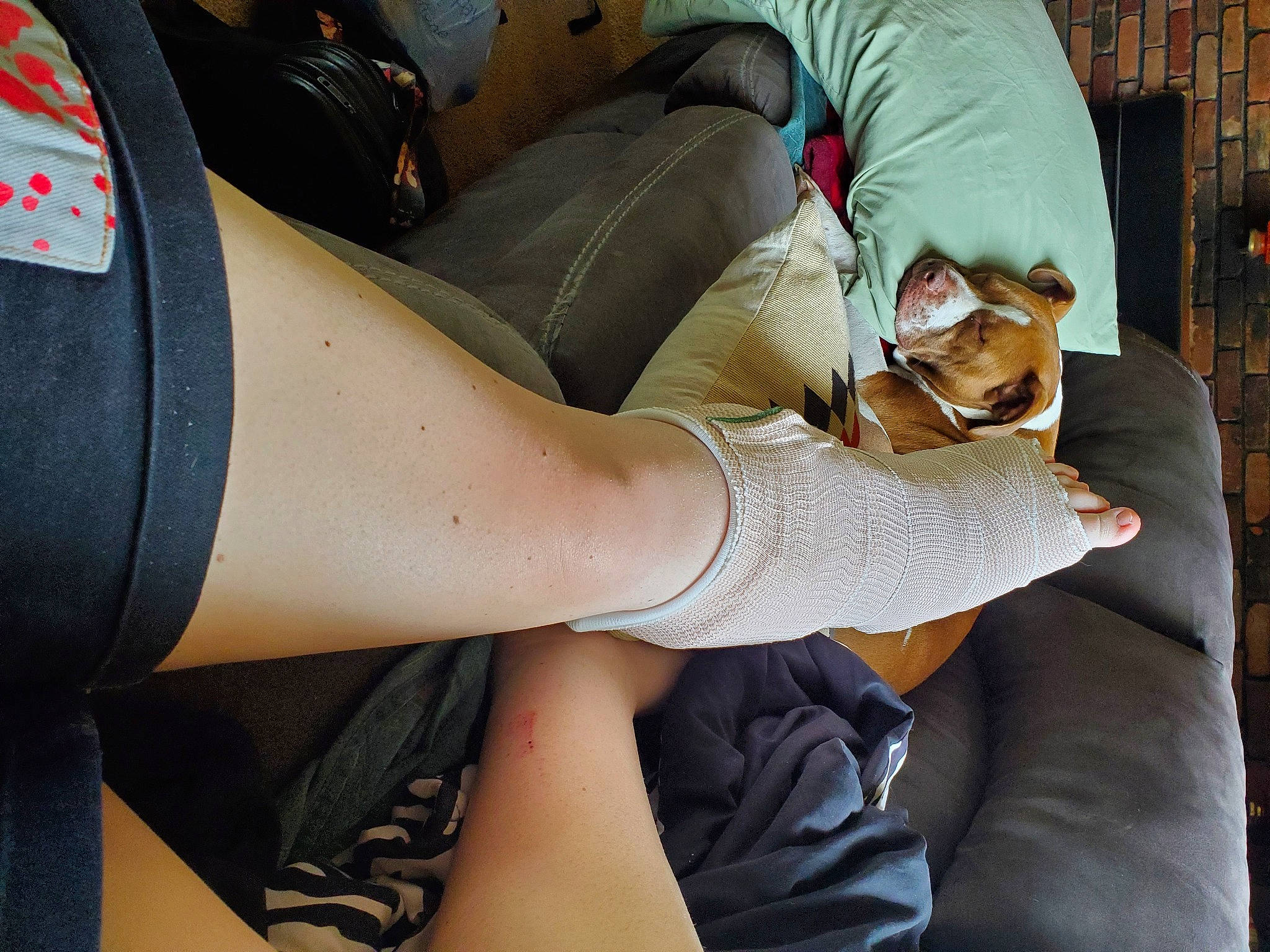 Koko is registered to the contest to win money with this photo: abdomen, calf, chest, comfort, elbow, eyewear, finger, human_leg, joint, knee, muscle, nail, neck, shoulder, sleeve, sunglasses, thigh, trunk, waist, wrist