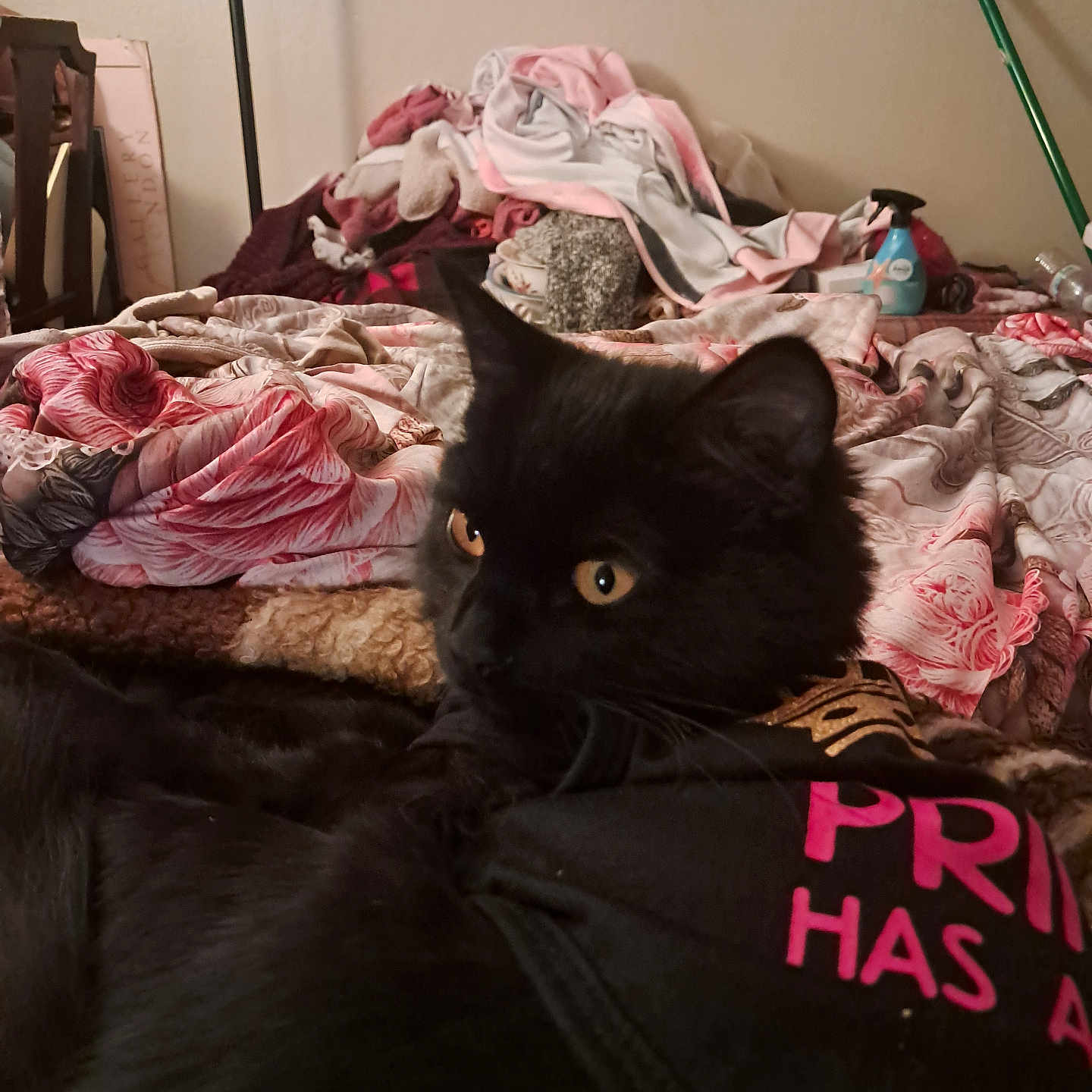 Milo