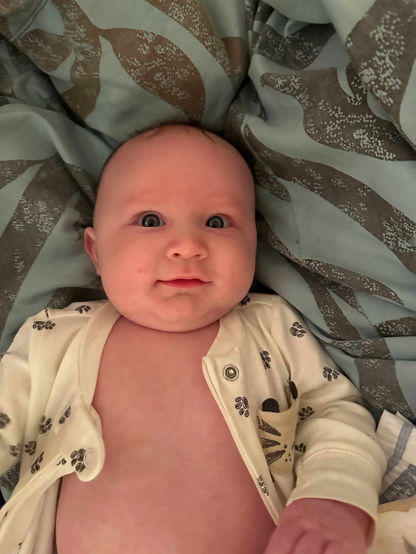 Lucas is registered to the contest to win money with this photo: baby, infant, face, eyes, blanket, onesie, clothing, paw_prints, cute, child, skin, hand, lying_down, indoors, expression, portrait, newborn, smile, soft, warm