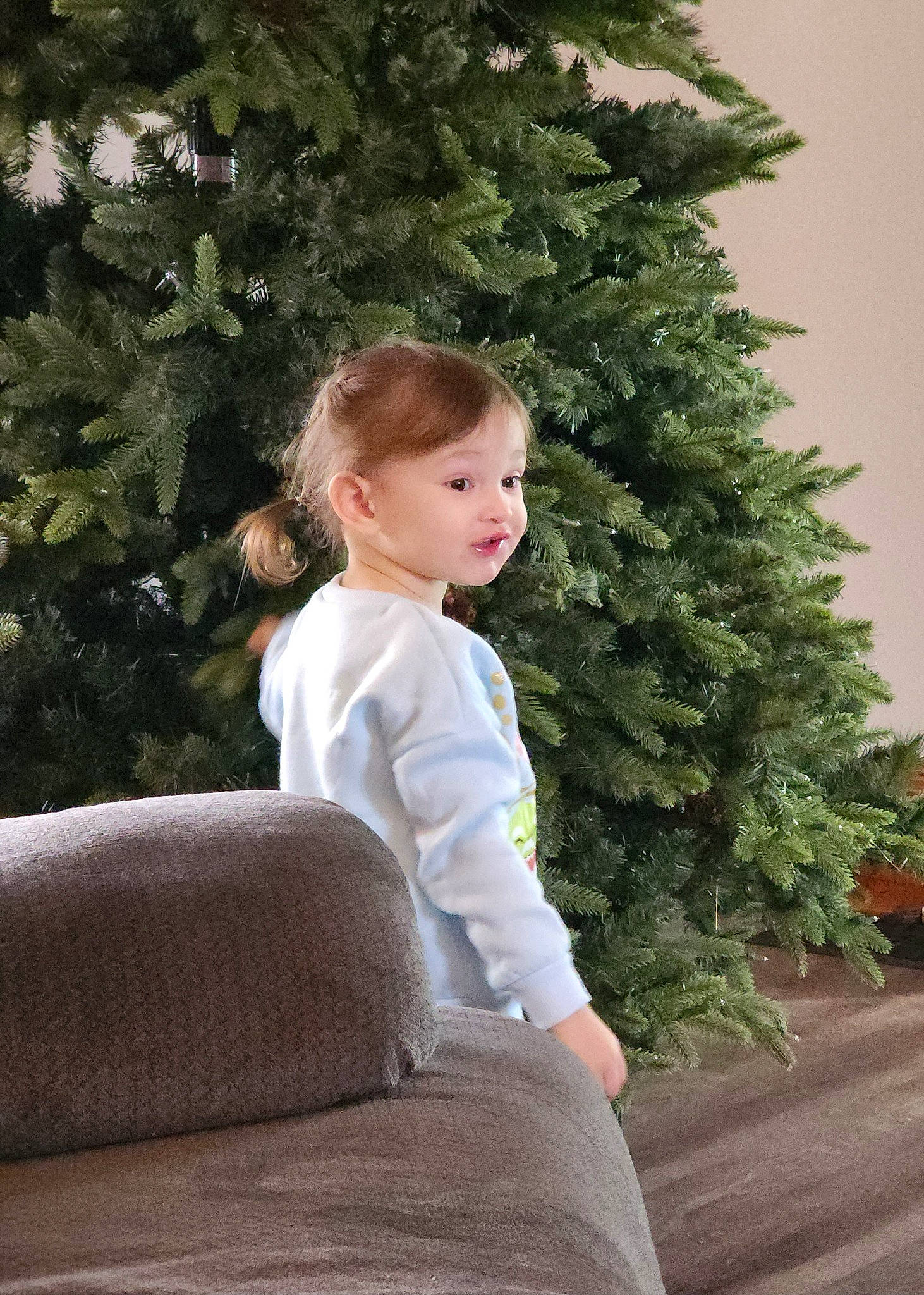 Maryjane is registered to the contest to win money with this photo: conifer, evergreen, fir, flash_photography, garden, grass, hair, hairstyle, leaf, person, pine, pine_family, plant, shrub, sitting, sleeve, standing, t_shirt, toddler, tree