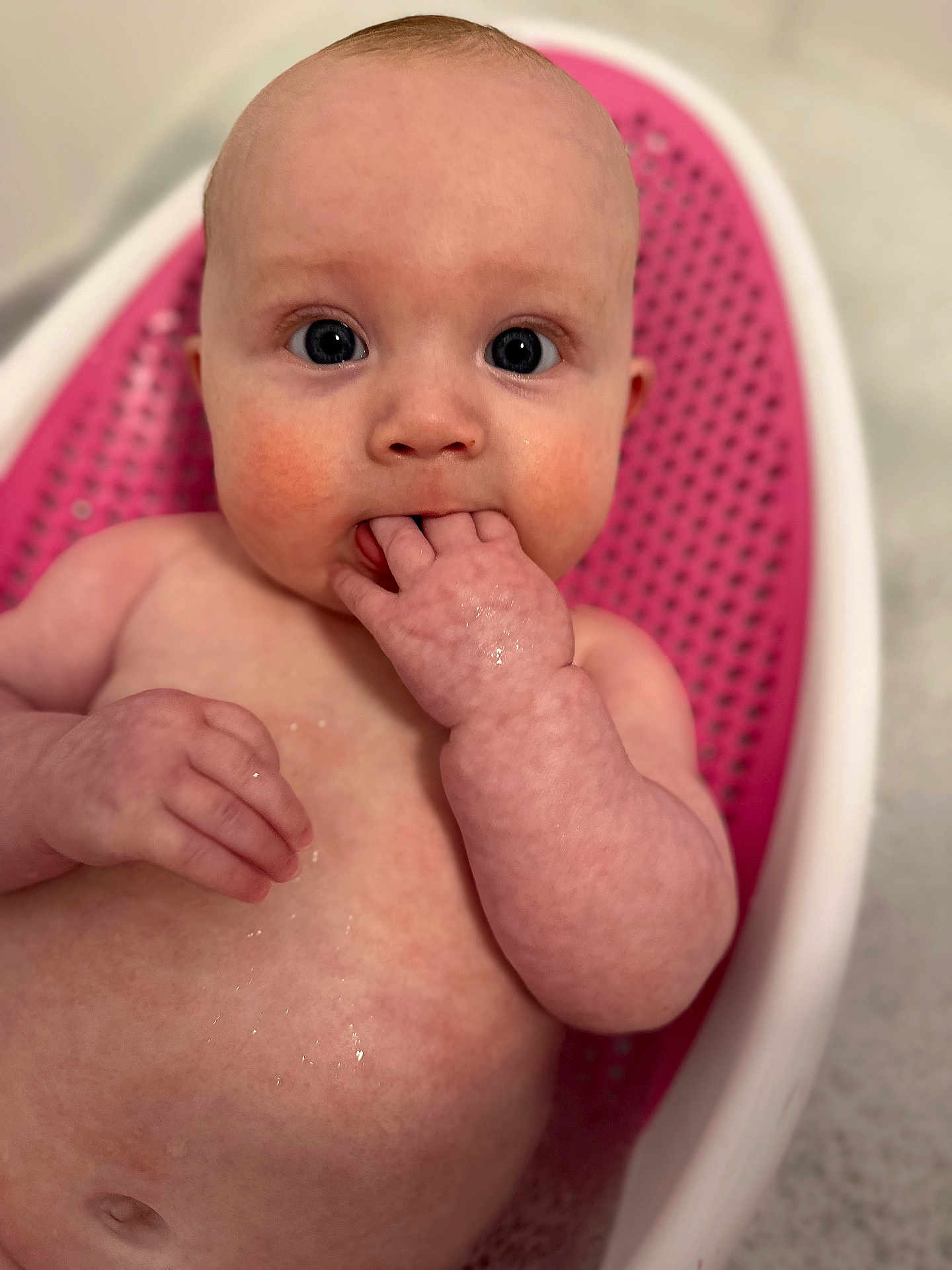 Maisie joined the competition — help win amazing prizes! baby, infant, bath, bathtub, pink, skin, wet, fingers, face, eyes, expression, child, cute, water, sitting, indoors, closeup, person, head, young