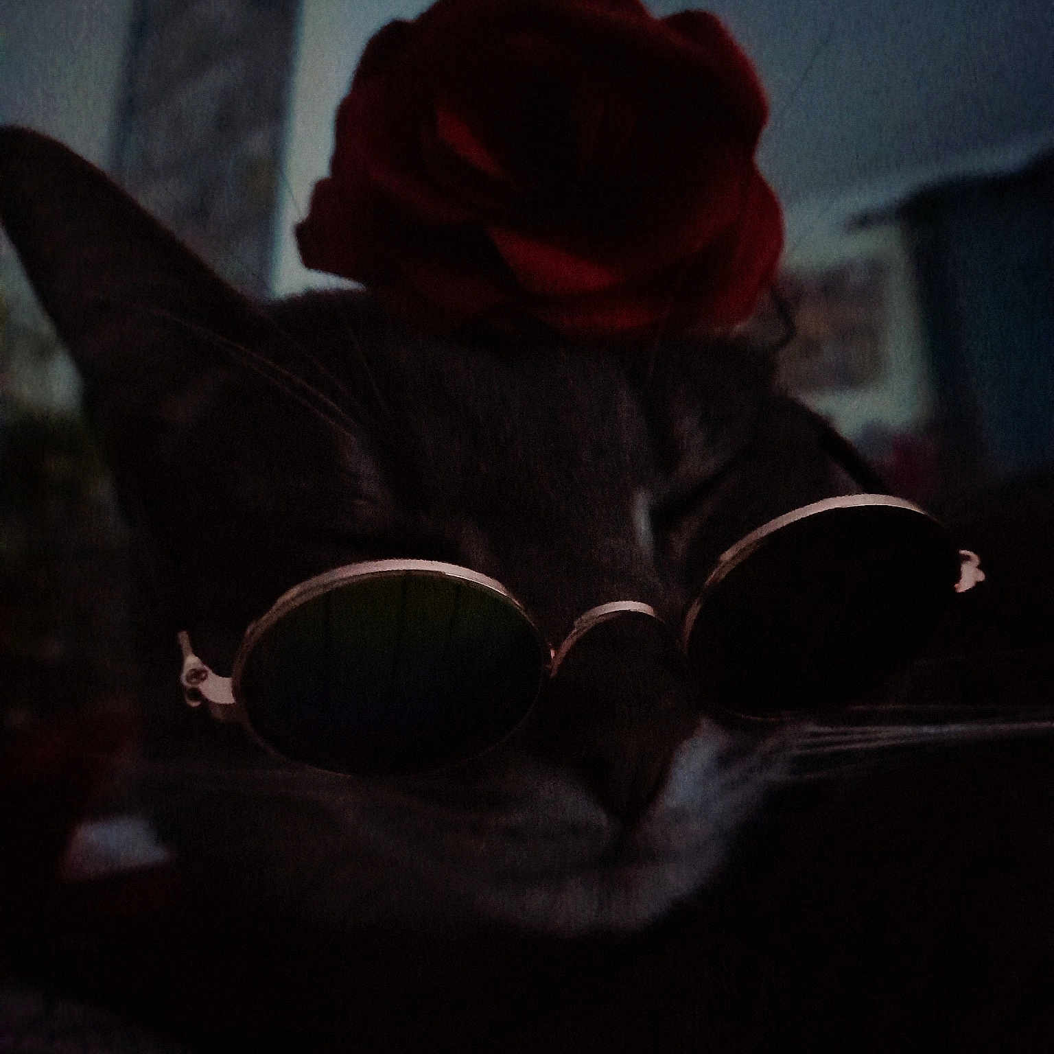 Oscar a rejoint le concours — aidez-le/la à gagner de superbes lots ! art, artificial_flower, carmine, cut_flowers, darkness, floribunda, flower, flowering_plant, garden_roses, hybrid_tea_rose, magenta, paper, peach, petal, plant, rose, rose_family, rose_order, still_life_photography, tints_and_shades