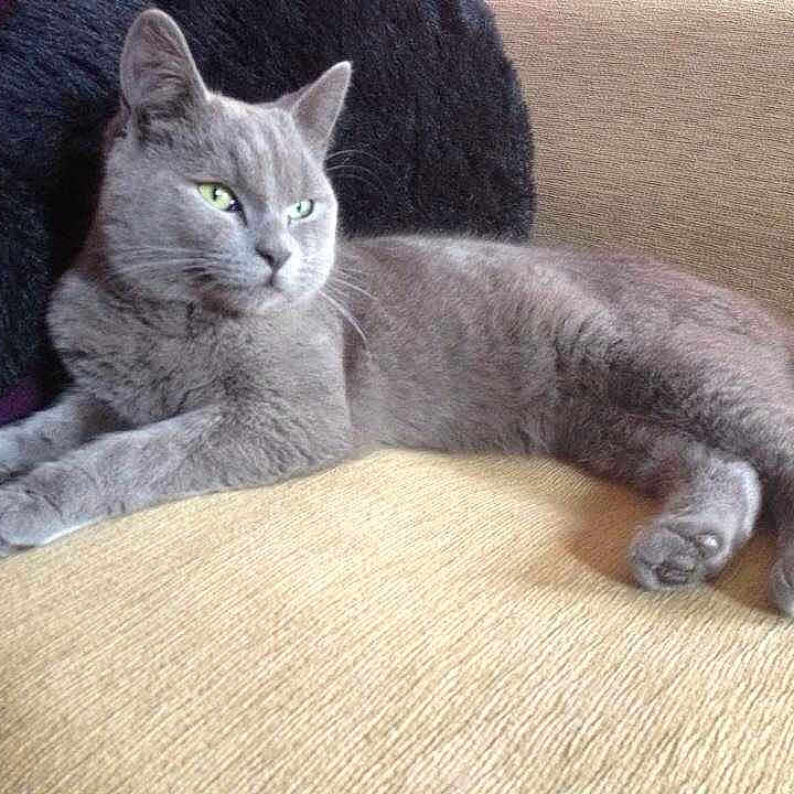 Mac is registered to the contest to win money with this photo: