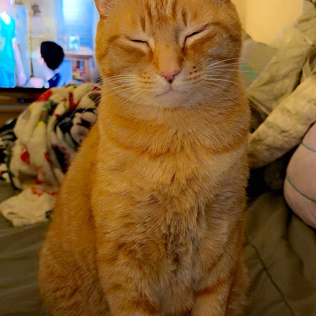 Tigger