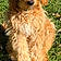 Tucker