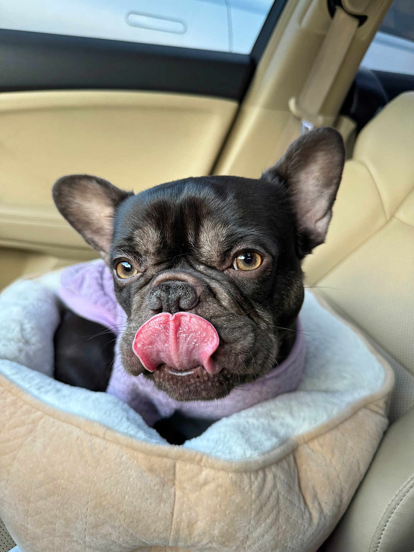 Rosie