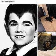 Reese joined the competition — help win amazing prizes! adult, animal, art, blackhair, bodypart, canine, collage, dog, face, female, head, mouth, page, person, pet, photography, portrait, teeth, text, woman