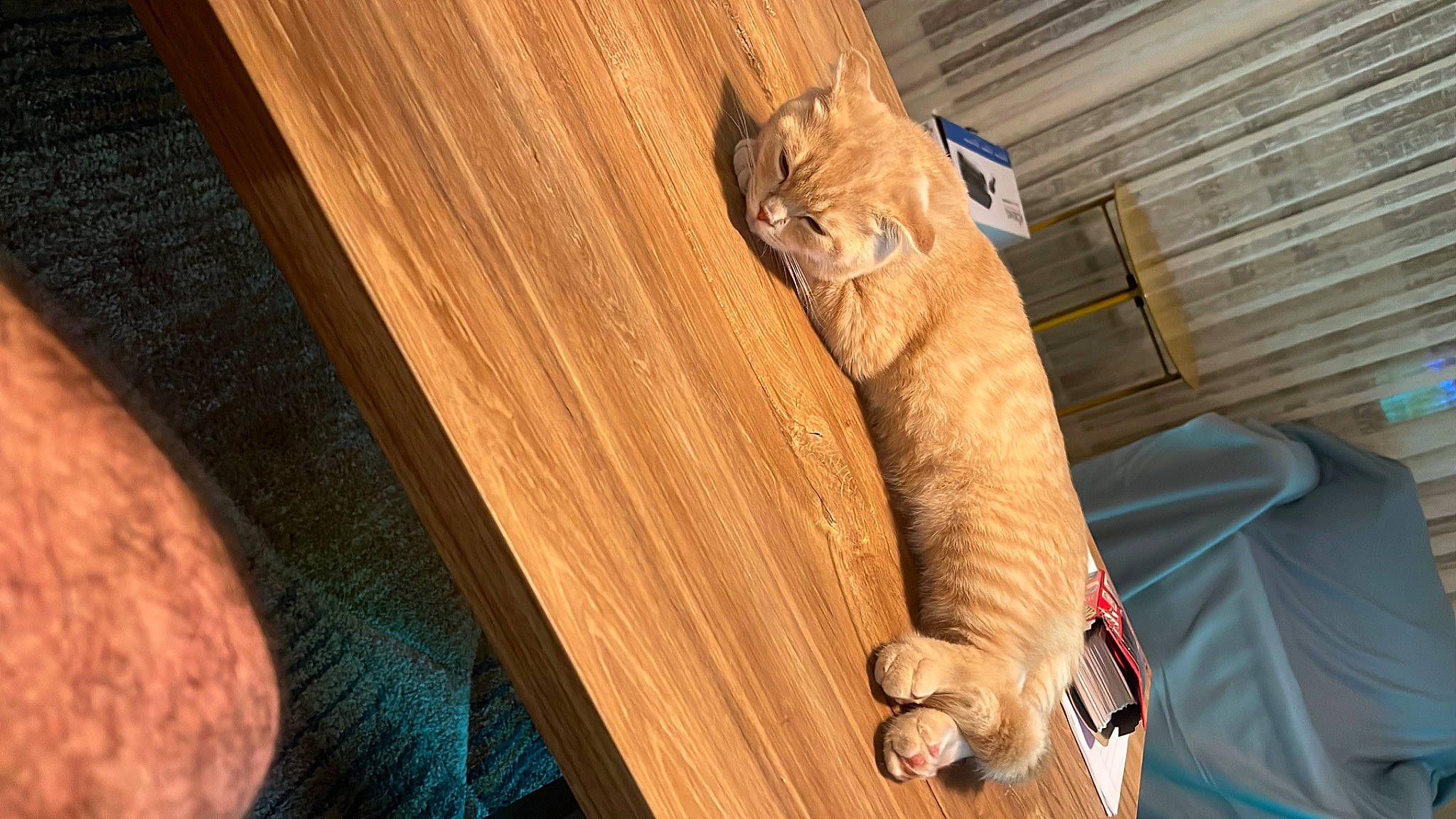 Potato participe au concours pour gagner de l'argent avec cette photo : brown, ceiling, comfort, door, fashion_accessory, floor, flooring, hardwood, human_leg, laminate_flooring, lumber, metal, pattern, plank, plywood, room, varnish, wood, wood_flooring, wood_stain