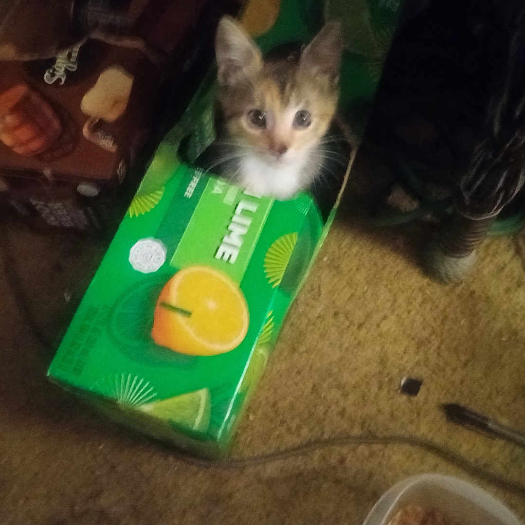 Luna