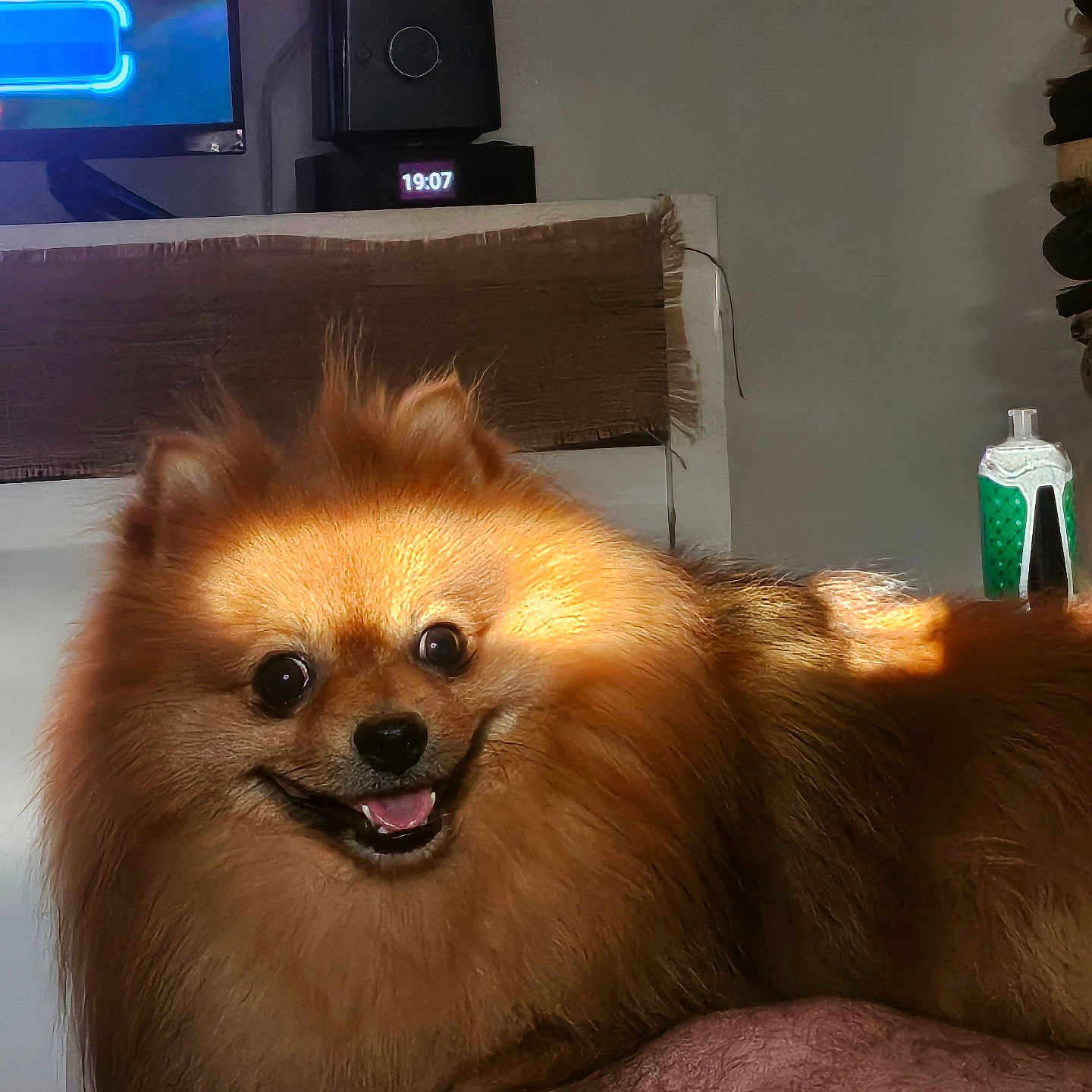 Sparco