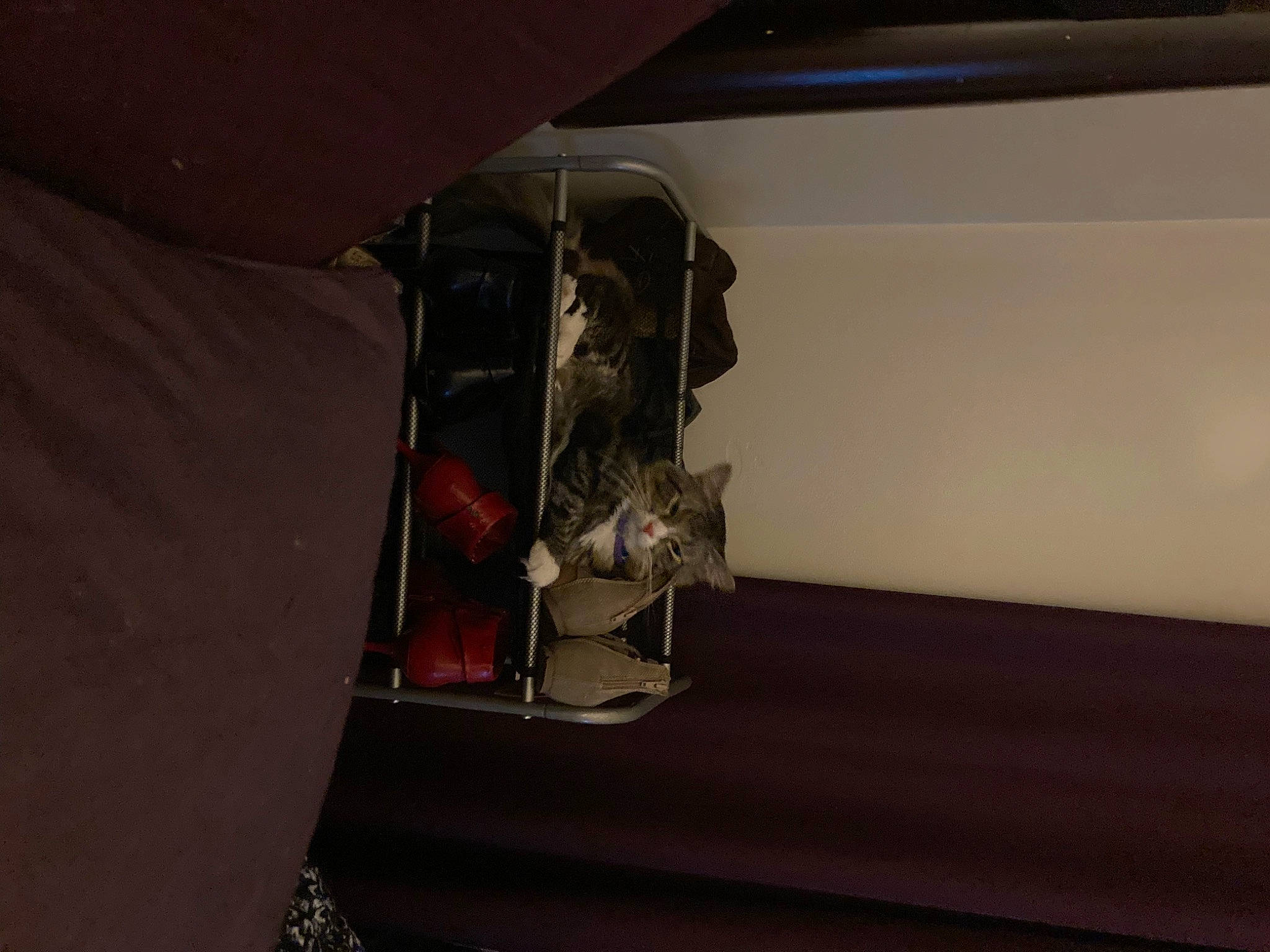 Fluff is registered to the contest to win money with this photo: auto_part, automotive_design, automotive_exterior, automotive_lighting, bumper, ceiling, event, flooring, hardwood, hood, human_leg, machine, personal_luxury_car, room, tints_and_shades, trunk, vehicle_door, windshield, wood, wrist