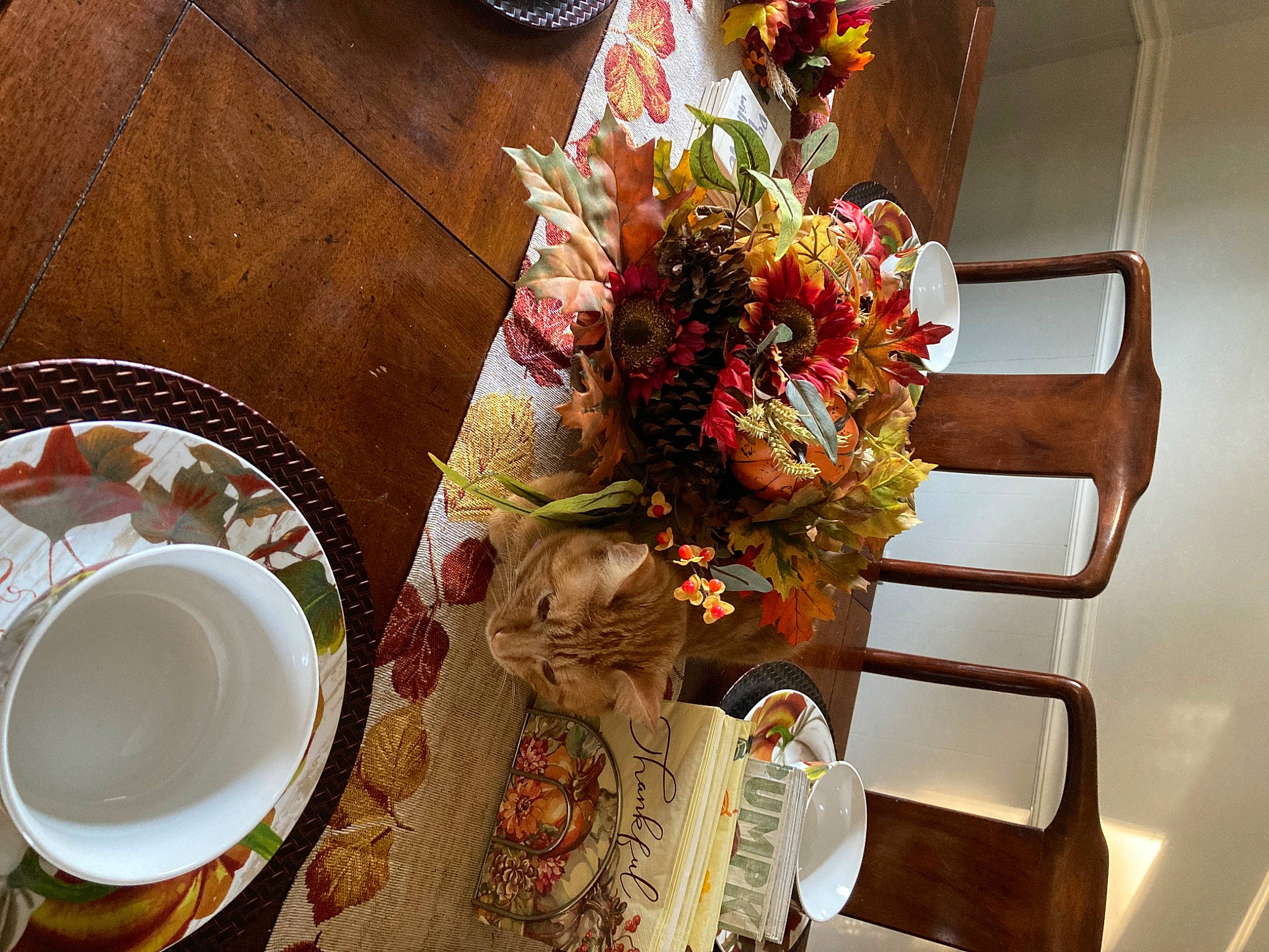 Little Stinky Daniel Tiger King is registered to the contest to win money with this photo: chair, cuisine, cup, dish, dishware, drinkware, flower, flower_arranging, food, ingredient, linens, plate, platter, porcelain, recipe, serveware, table, tablecloth, tableware, tire